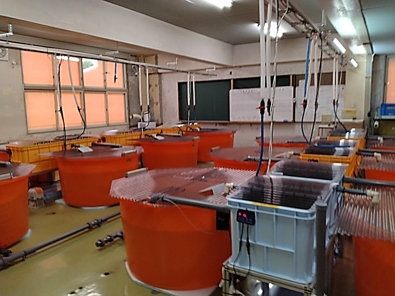 廃校利用de未来志向②株式会社HPRS｜北海道大学未来志向ワークショップ