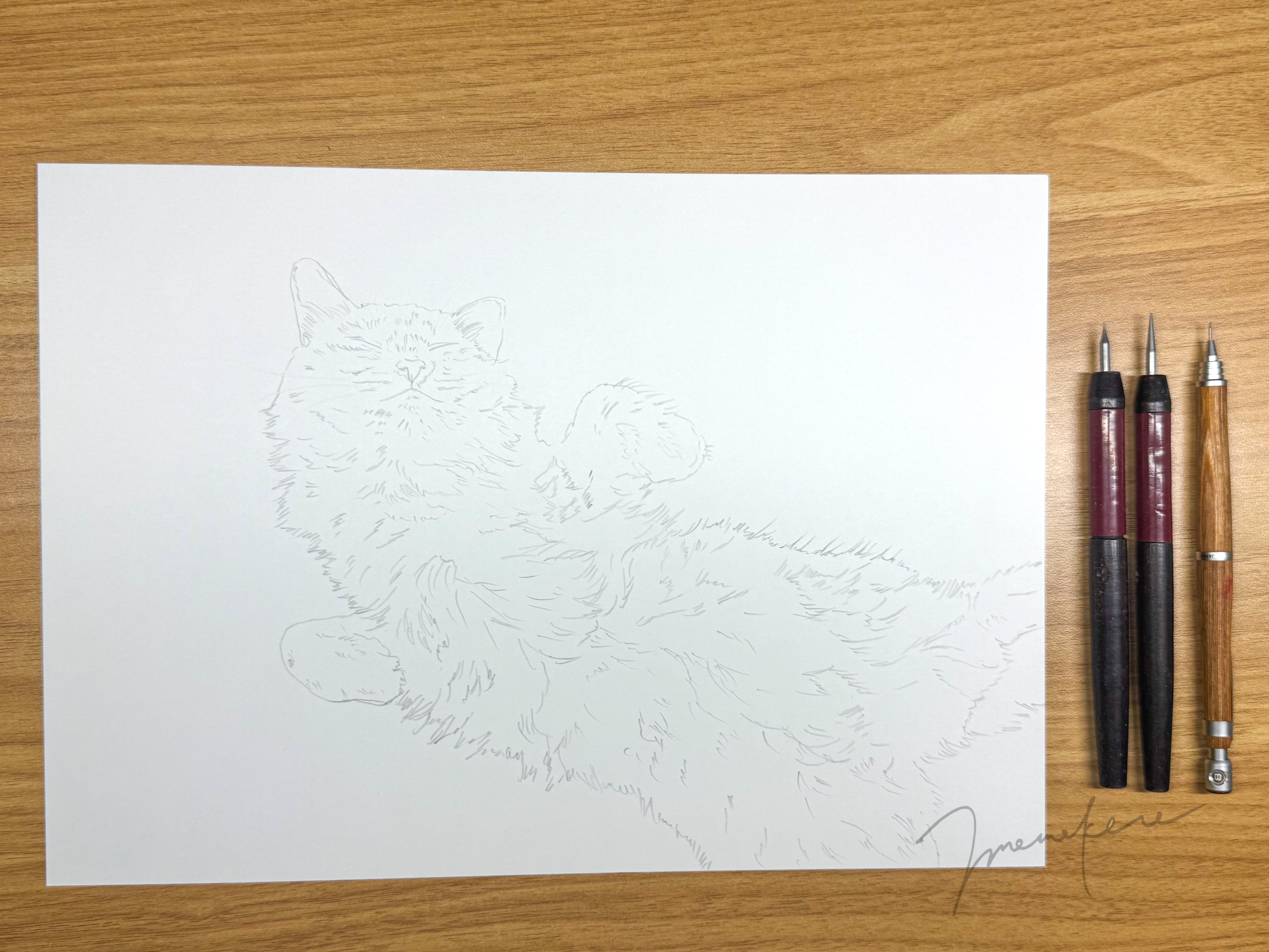 色鉛筆画A4白猫36 色鉛筆画A4白猫36
