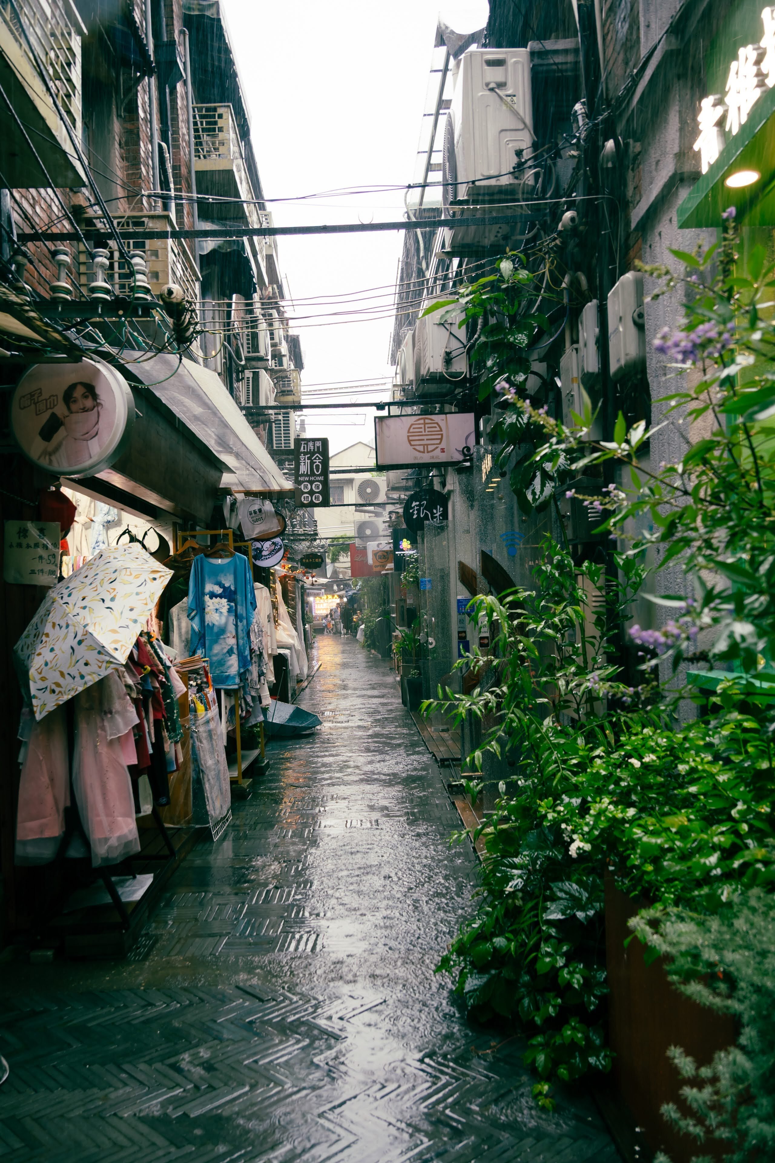 TIF ASIA TOUR 2025 虹のコンキスタドール 上海ライブ遠征｜じゅん@