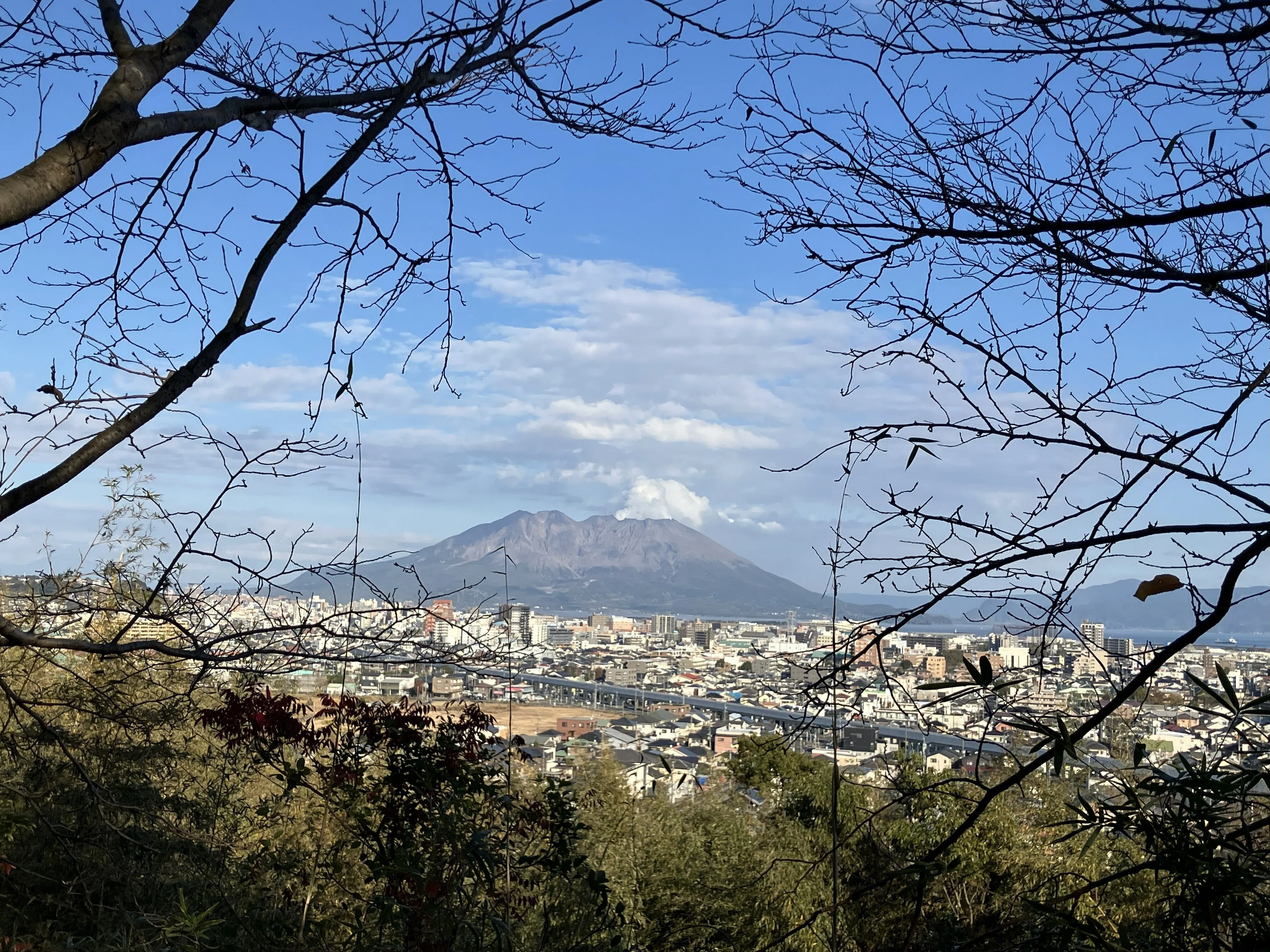 薩摩平氏を訪ねて44】桜島を一望する中世の山城 谷山本城跡（鹿児島市