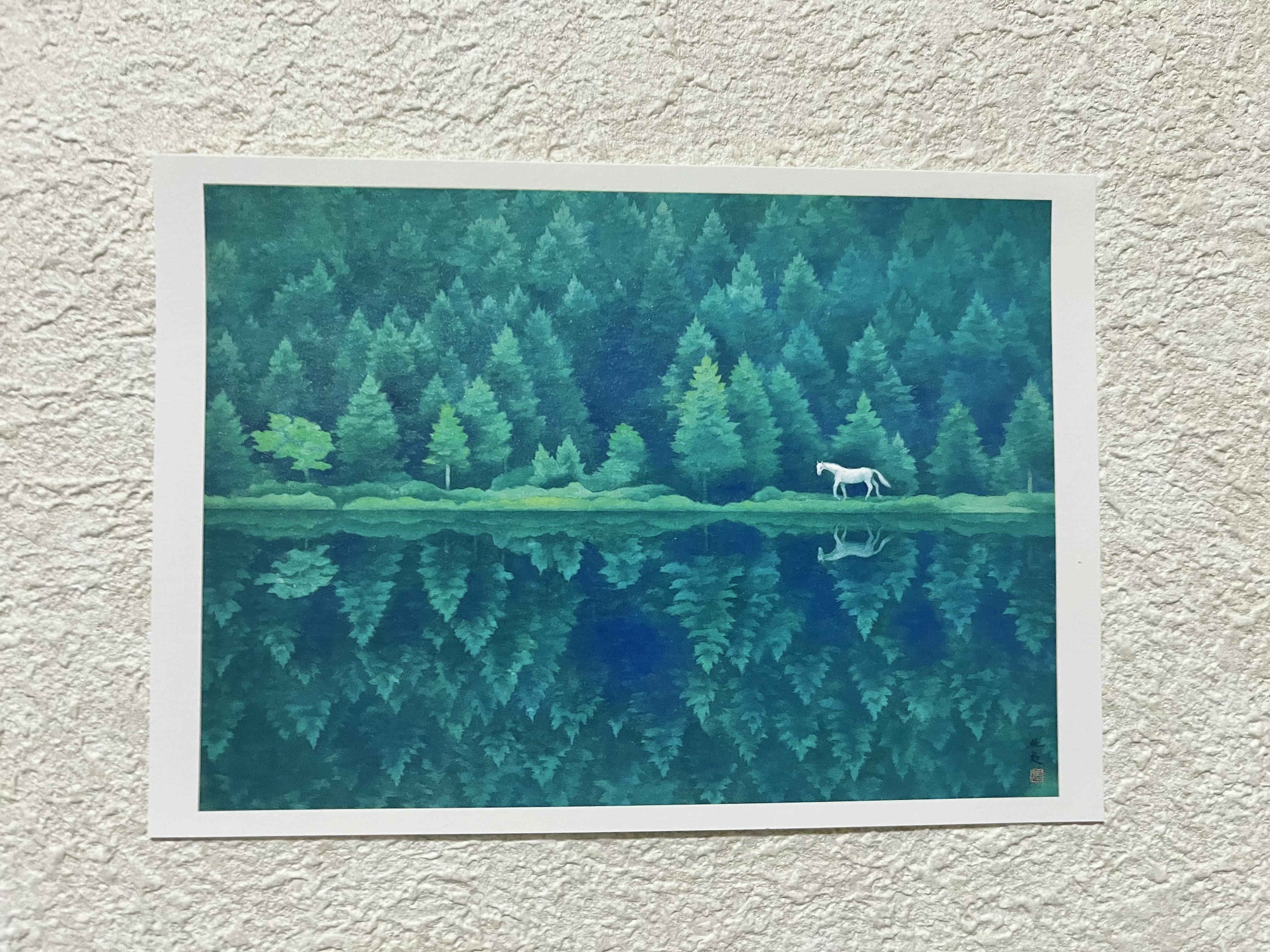 東山魁夷の白い馬に会ってきた。｜にひ:)