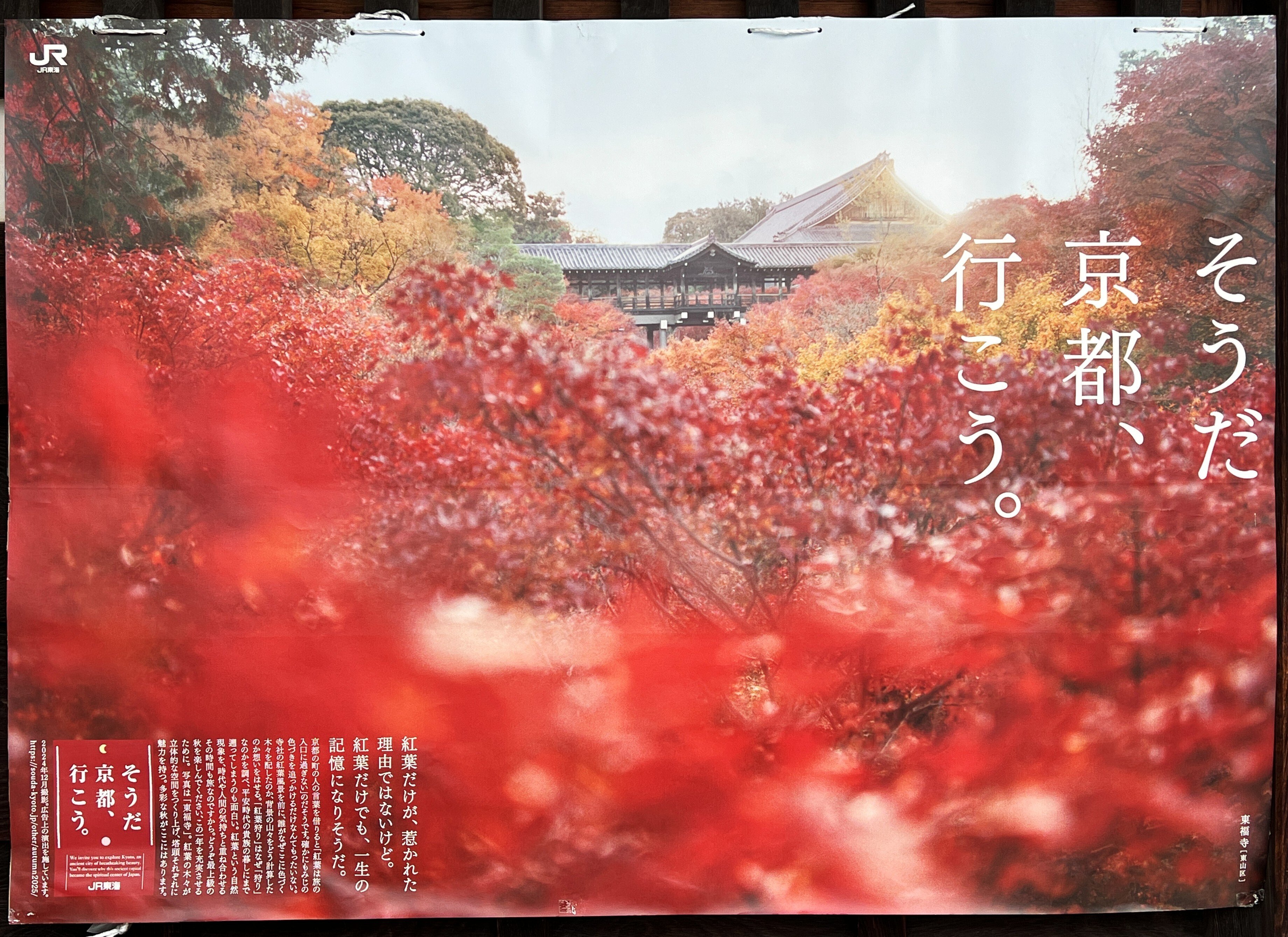 東福寺の紅葉は色づき始め｜千のこと