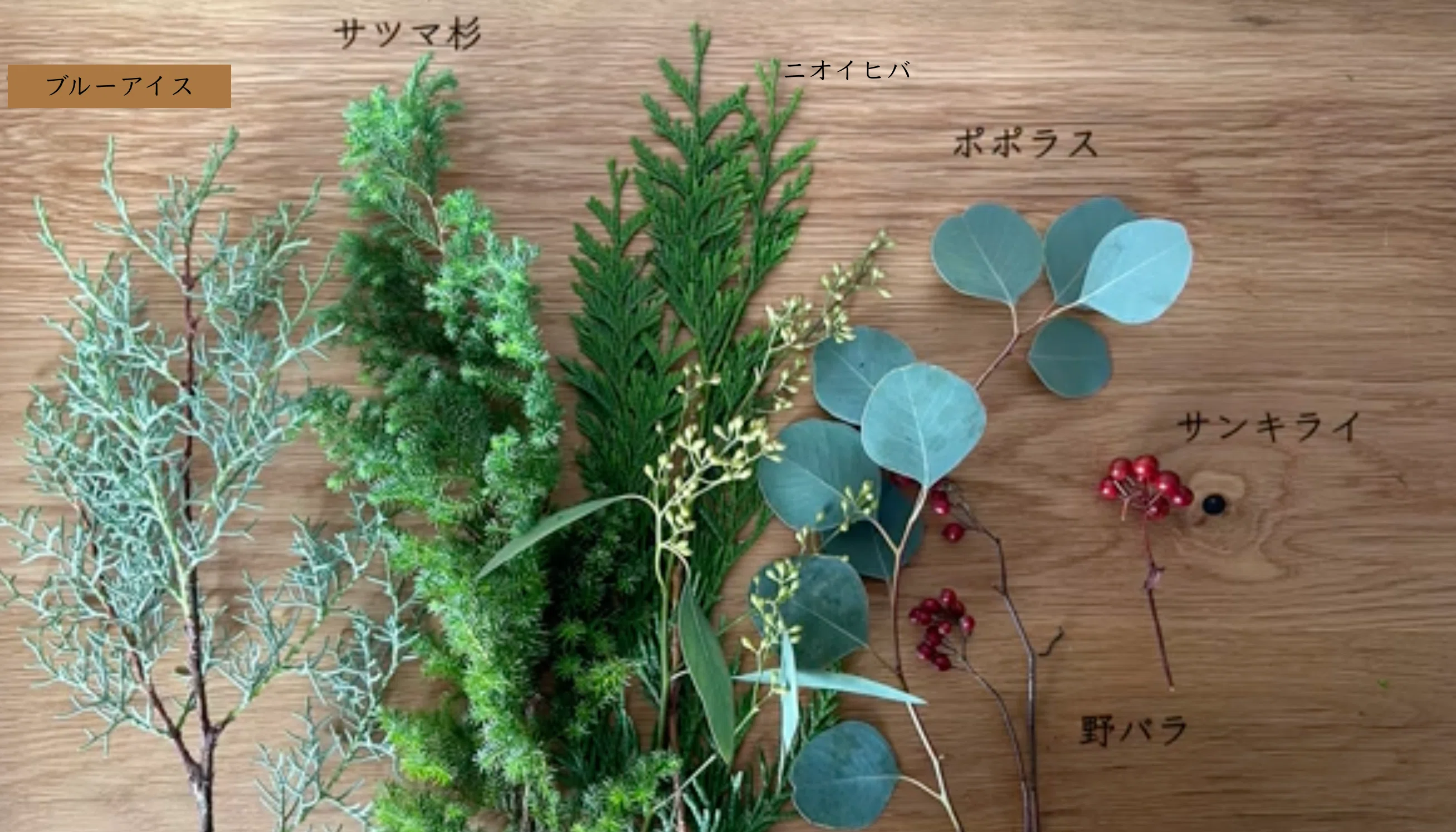 【SALE】ポポラスとブルーアイスのクリスマスリース* * *ラッピング無料 クリスマスハーフリース｜ハナジタク花学校