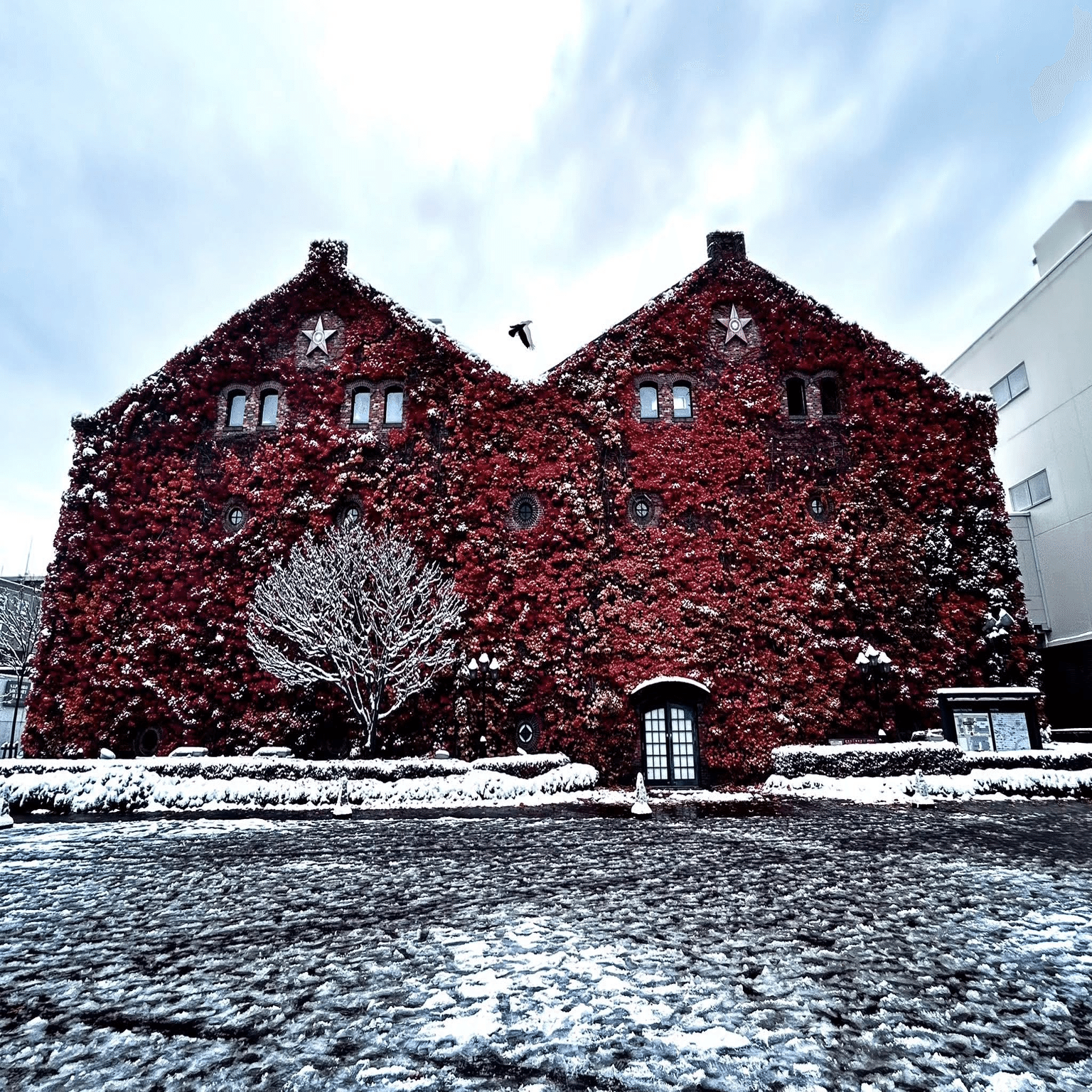 行方不明展 in サッポロファクトリー｜生まれたてのおっさん（山ちゃん）