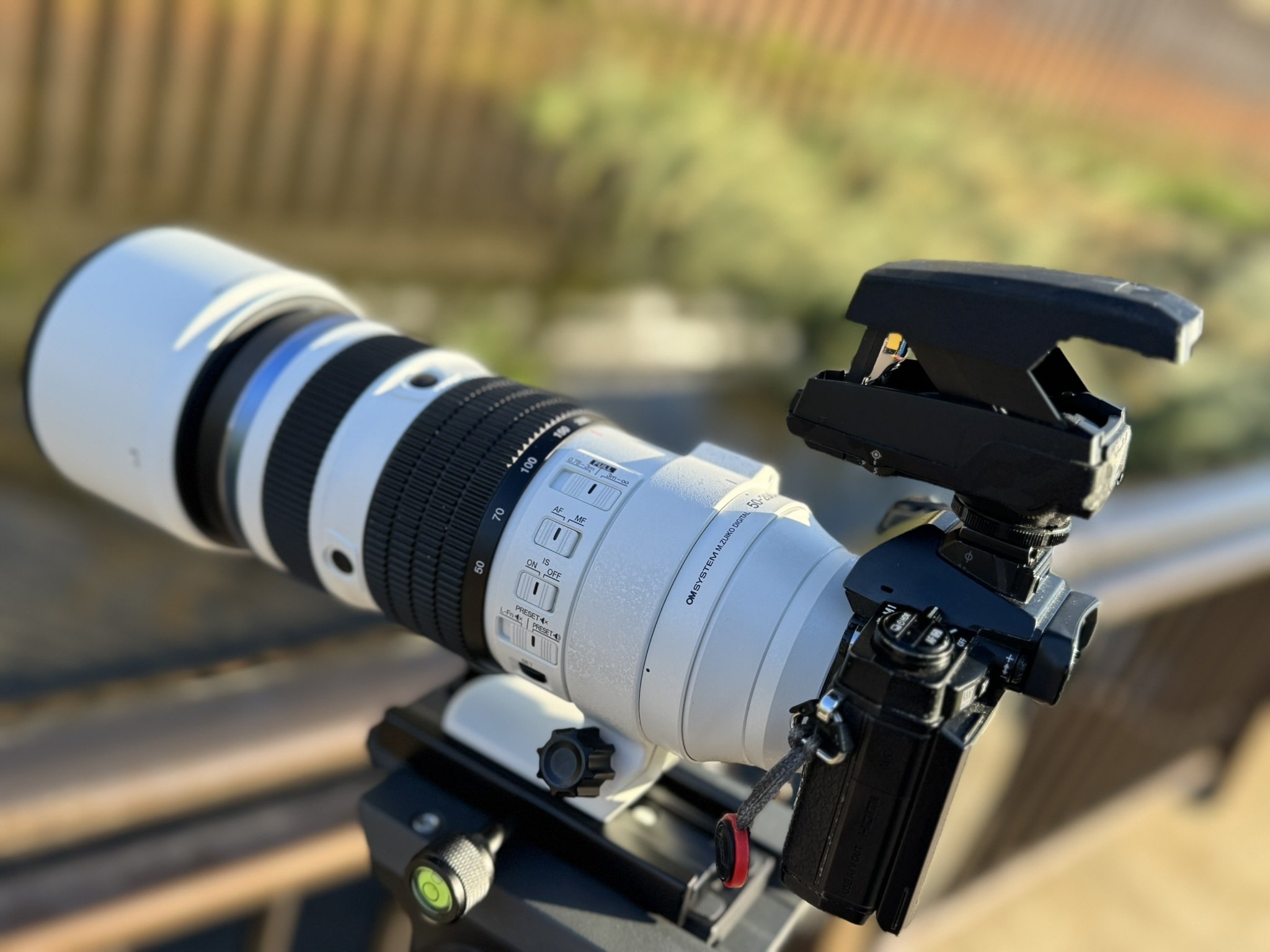 昔のオリンパスのカメラでカワセミを撮る｜物欲＠