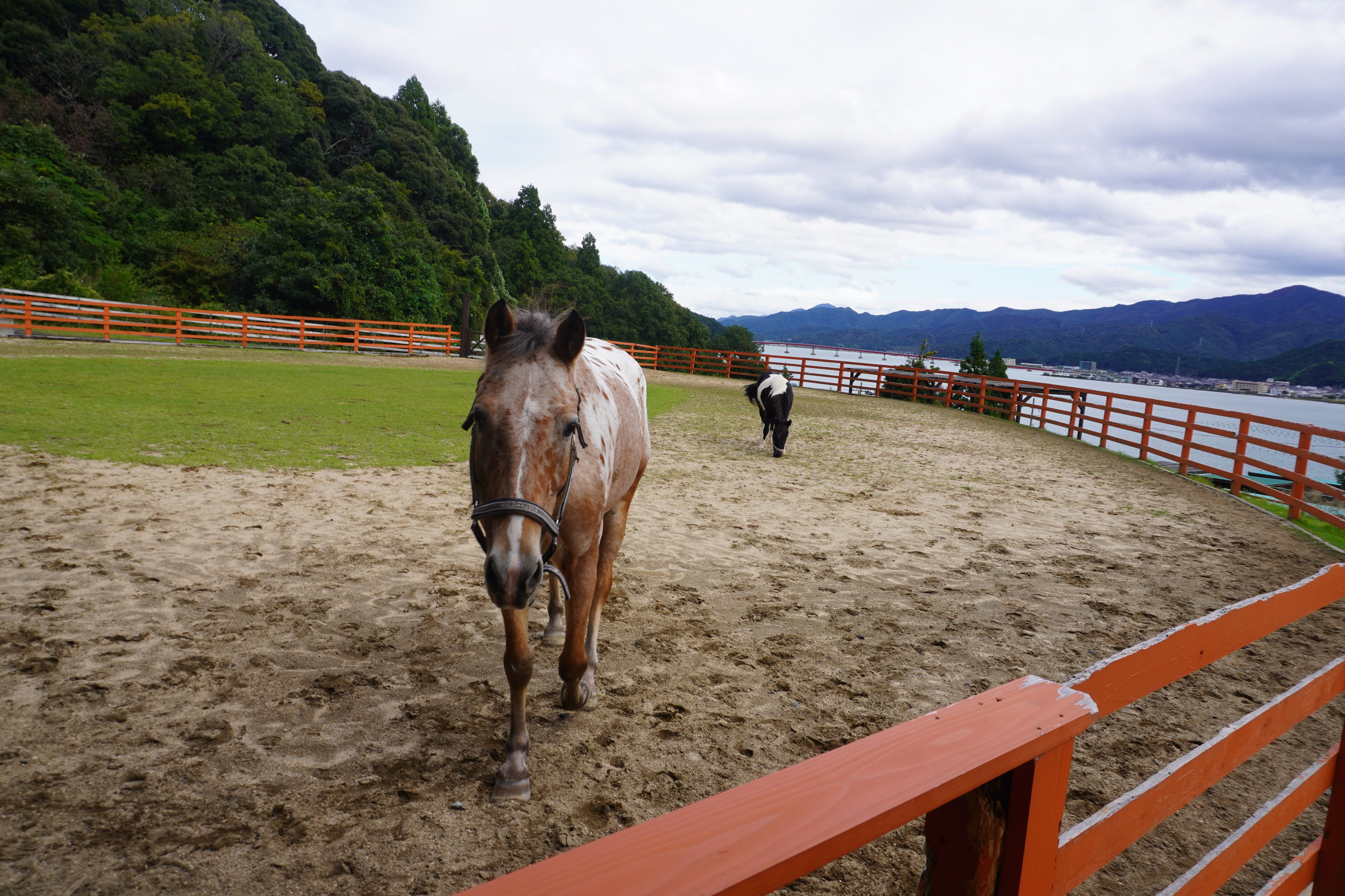 ZASO:289】福井県 #青戸ベイサイドヒルズ｜ZASOちゃんねる