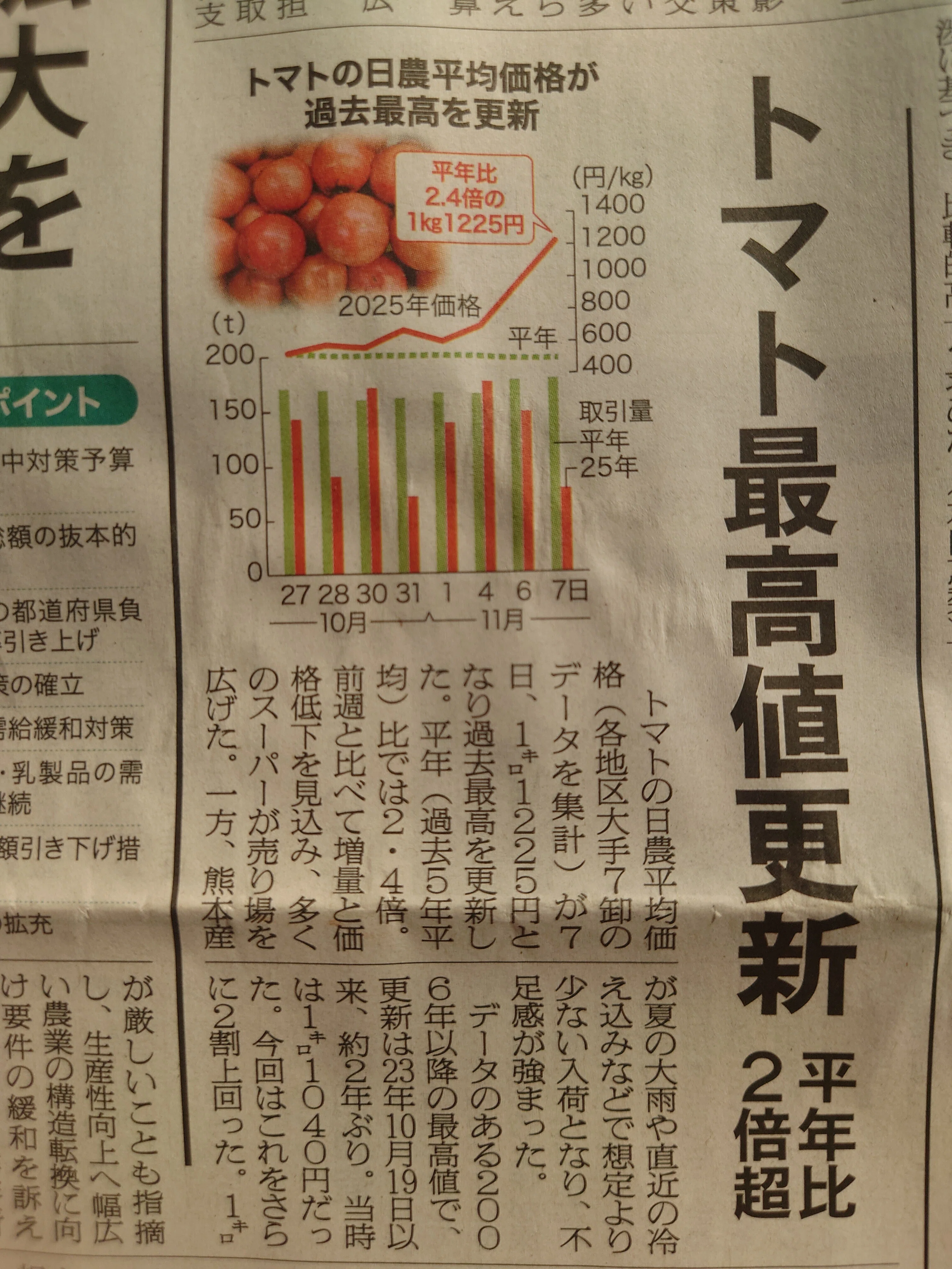 トマト農家のなんてことない一日「トマトの価格がえらいことに」2025