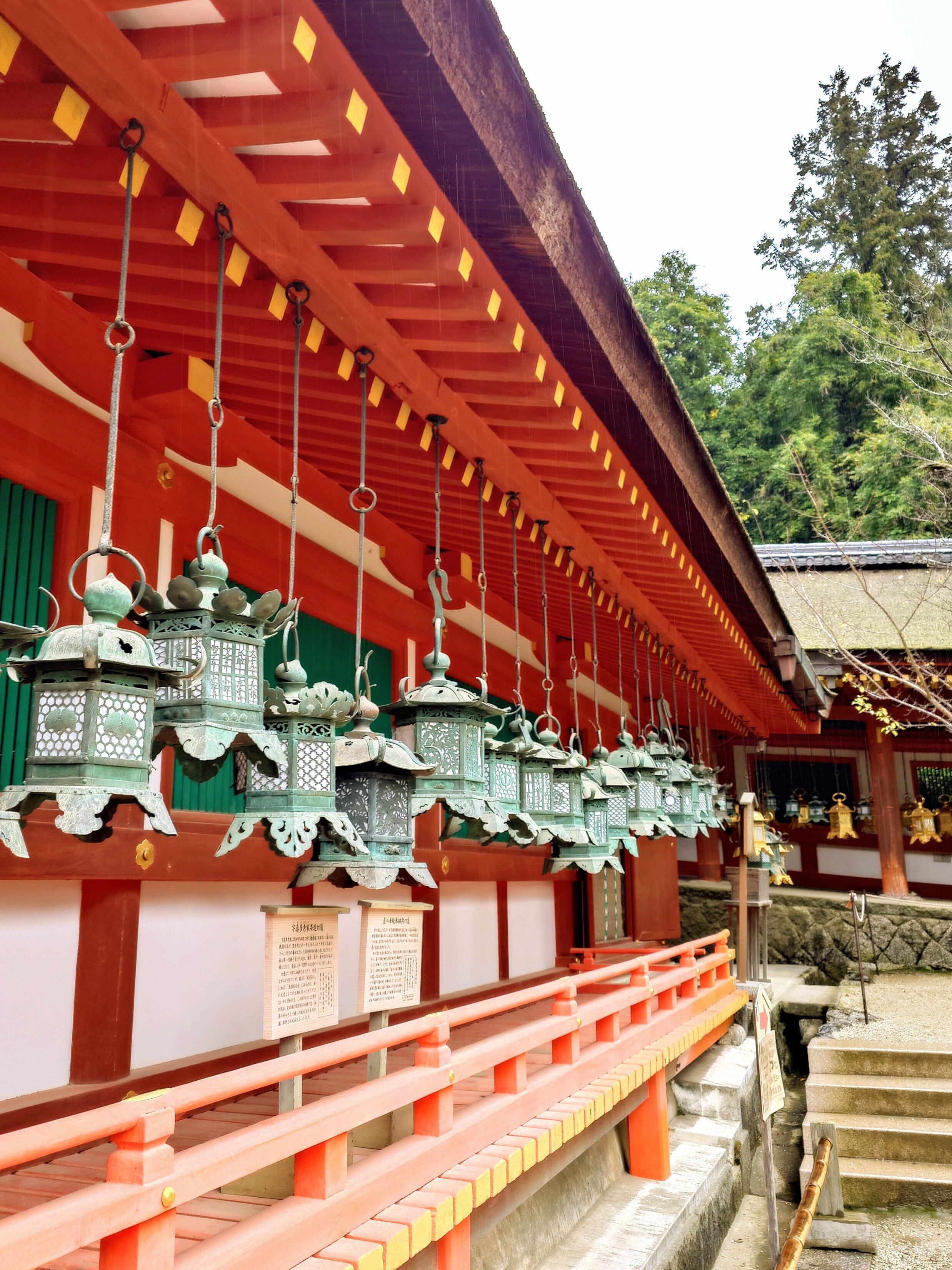奈良〜悠久の時間と正倉院展の宝物①｜machi