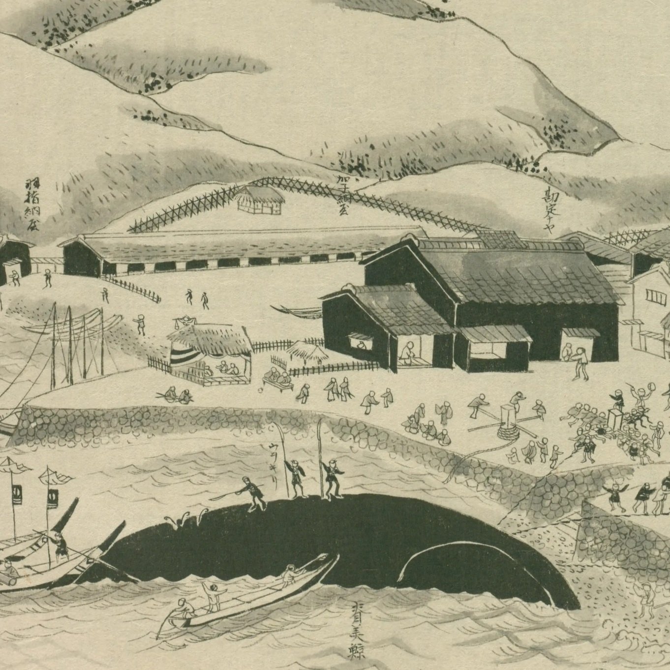 生月島捕鯨】勇魚取絵詞（5）生月御崎浦 納屋場脊美鯨漕寄圖｜mominaina