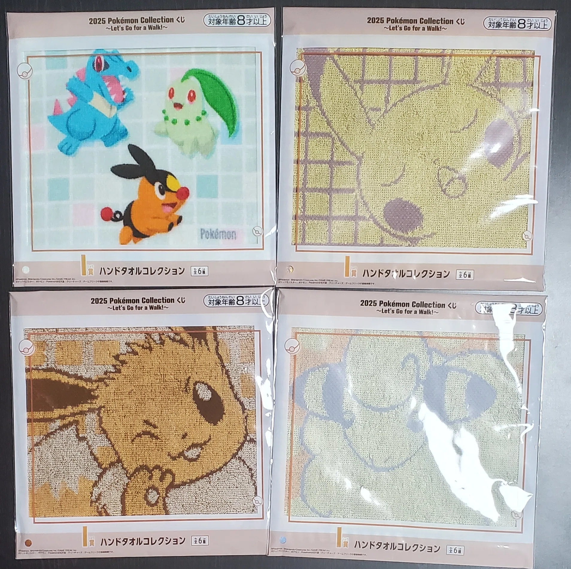 ポケモン】『2025 Pokémon Collection くじ ～Let's Go for a Walk