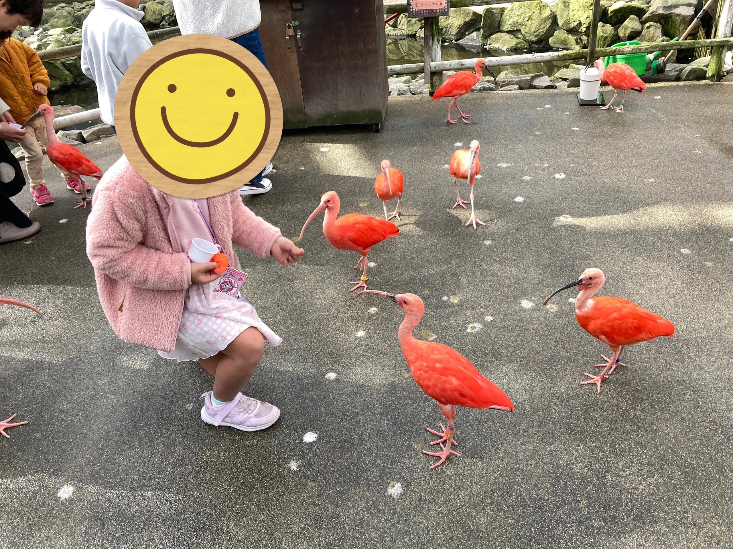 子連れ島根旅④】最後の目的地 鳥と花の楽園 松江フォーゲルパークへ