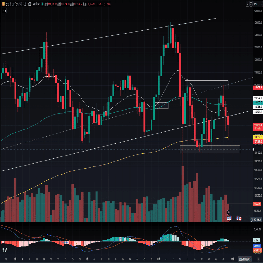 BTCレートの見方で損する人・得する人～チャート分析と下落相場の乗り越え方～｜Hamza Ali