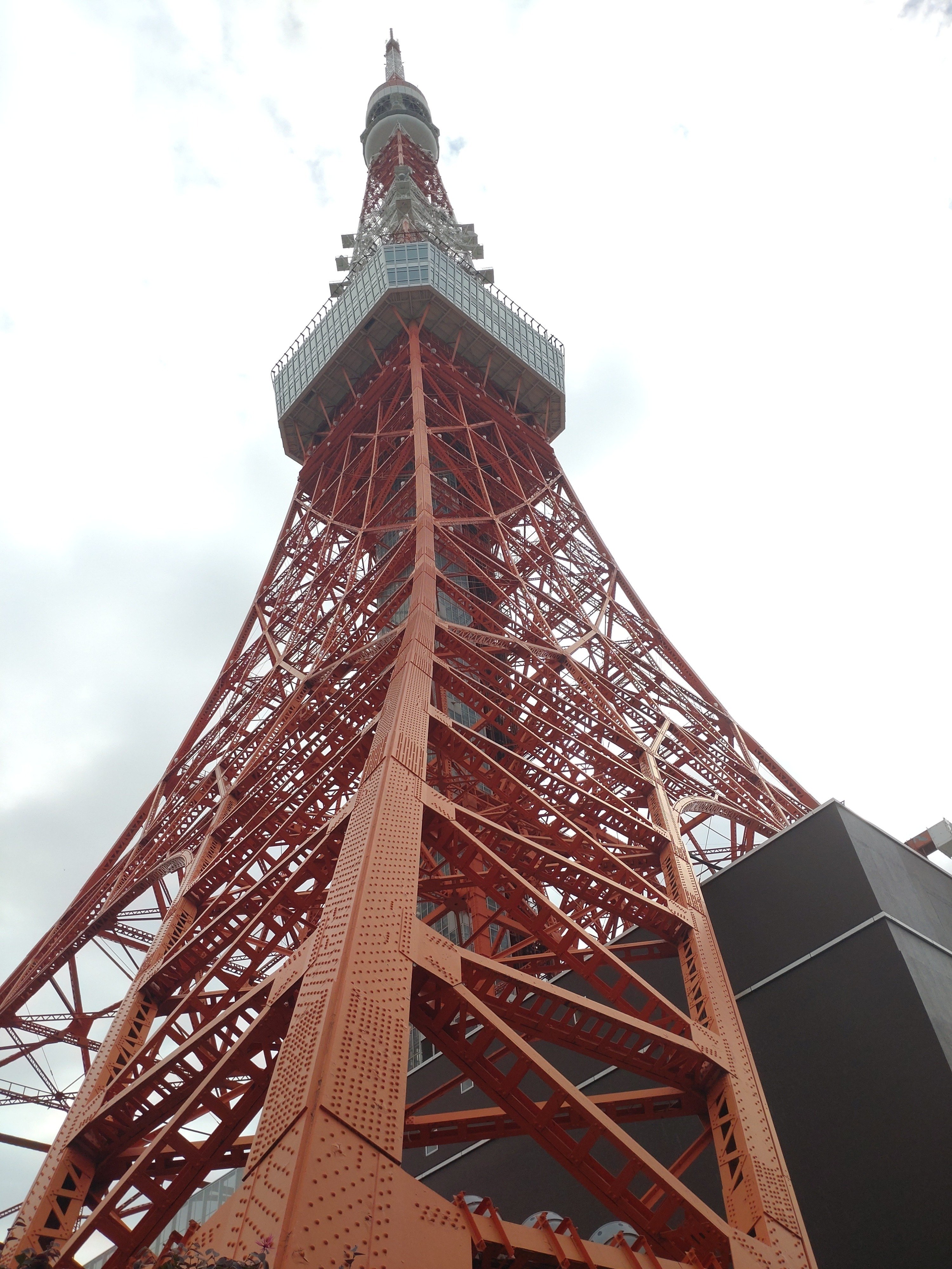 赤い電波塔は高くそびえ立ったのだ。」2025年11月8日の日記｜ゆいは