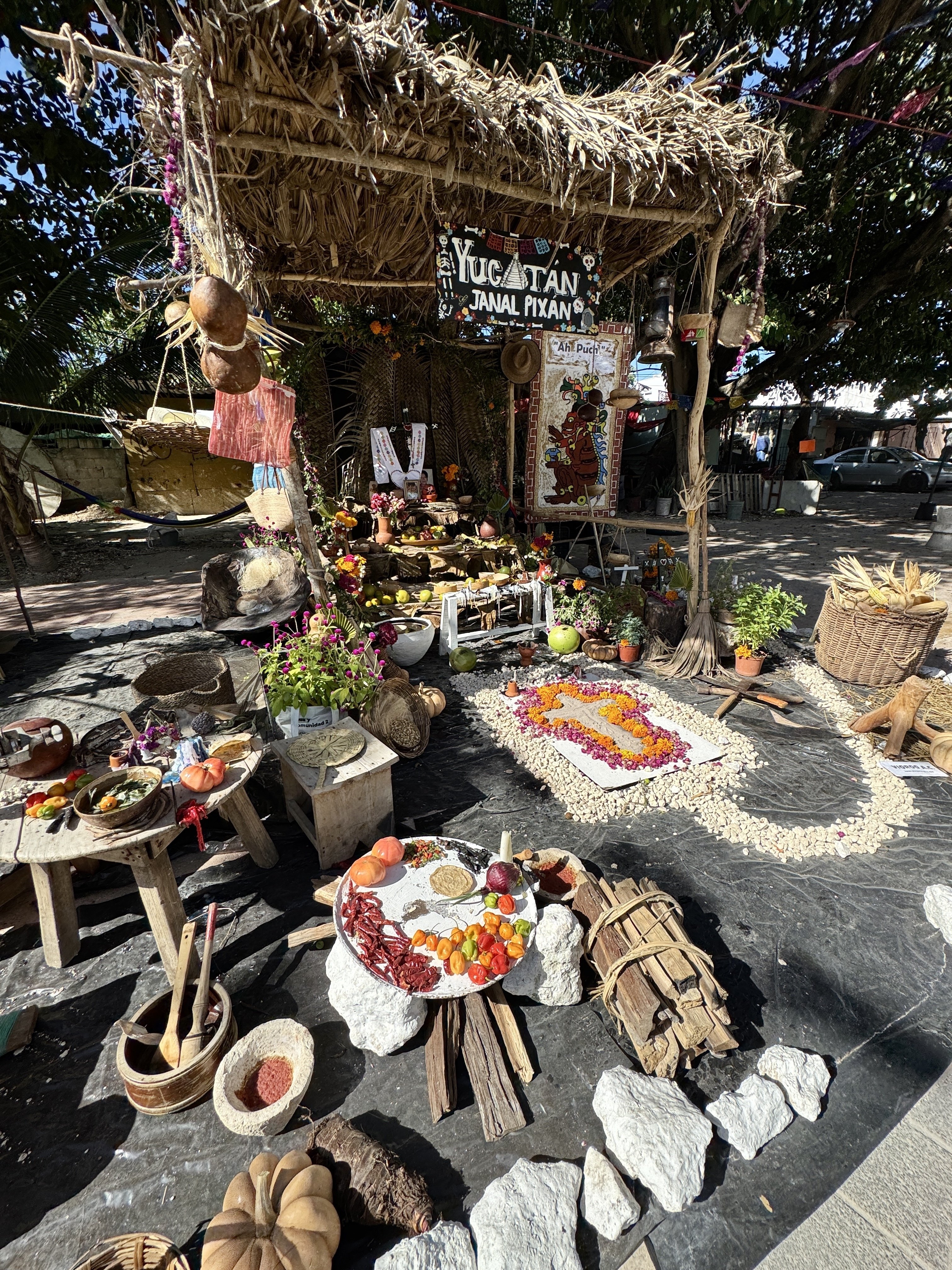 CANCUNでも楽しめる！