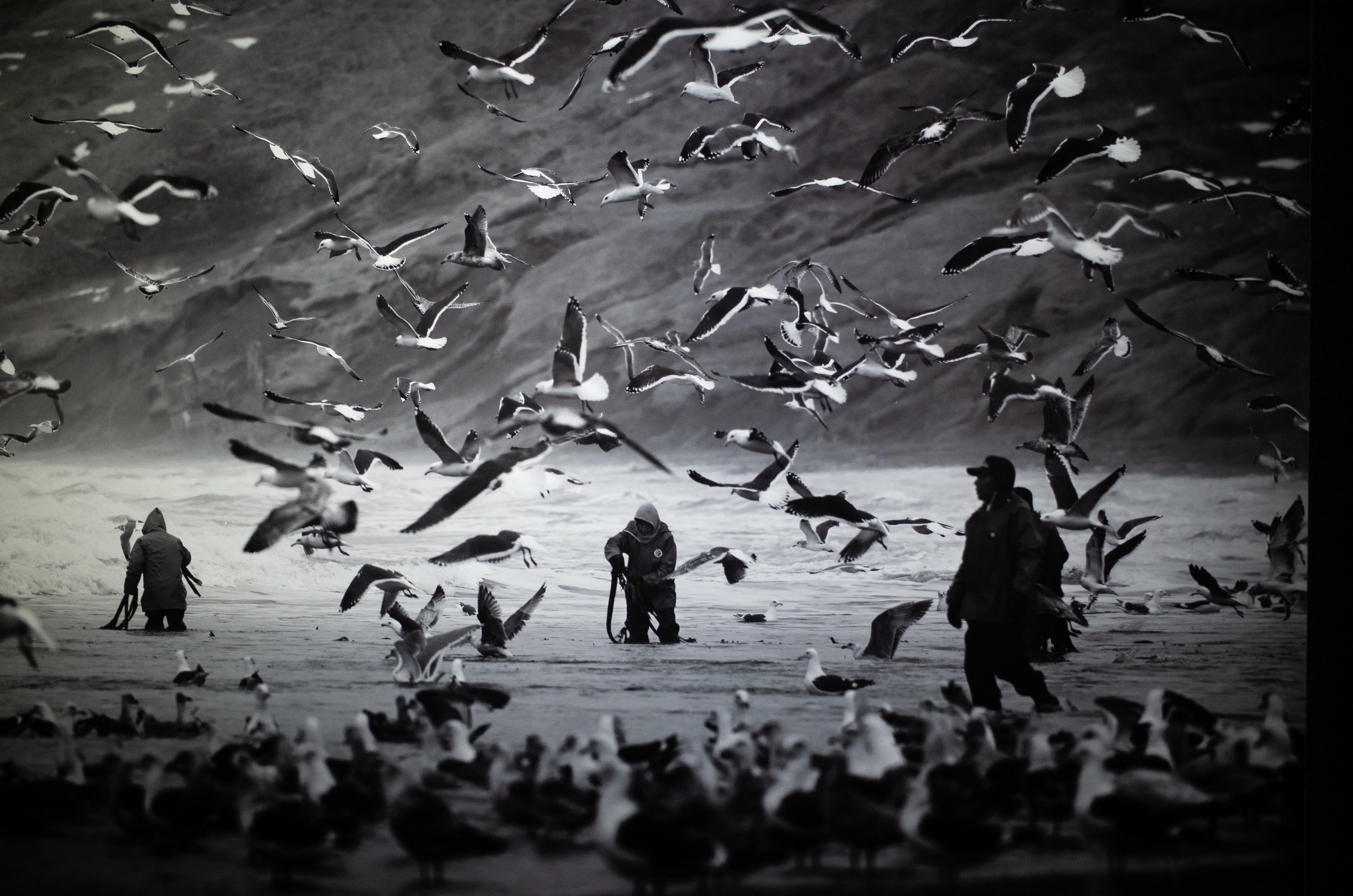 光はいつも、沈黙の中に生まれていた。小澤太一 写真展「回」を拝見し