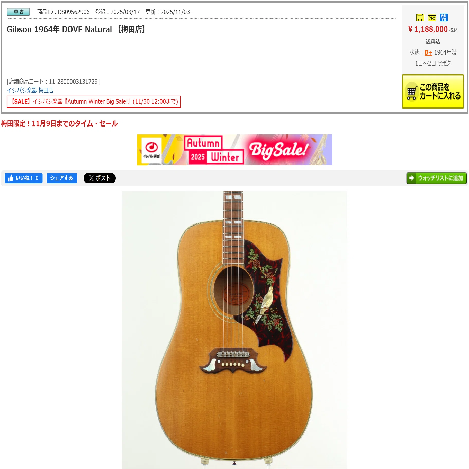 おっ、これはお買い得かも！？」｜アコギ部長