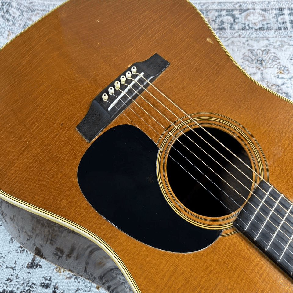 おっ、これはお買い得かも！？」｜アコギ部長