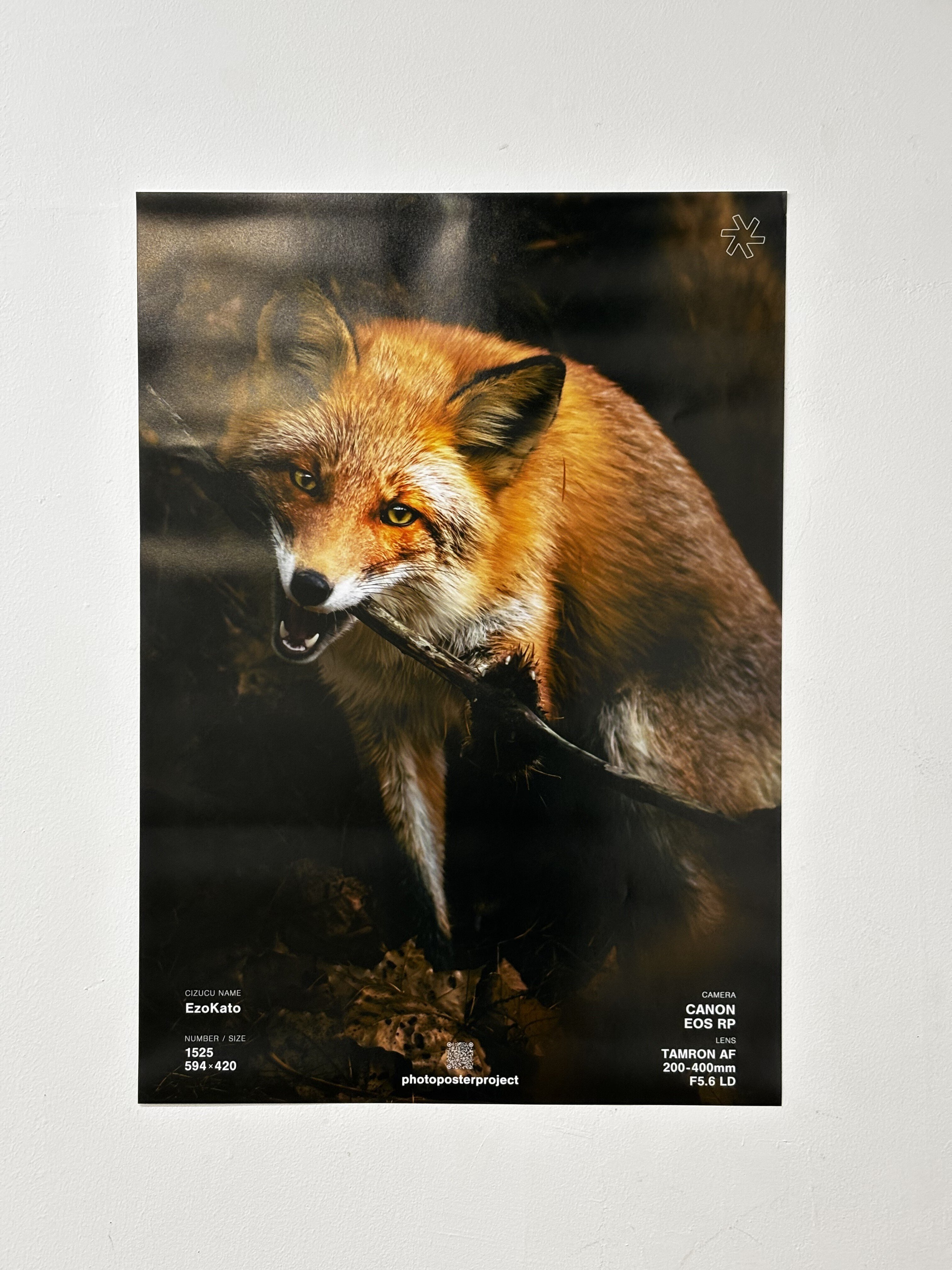 cizucu PPP（Photo Poster Project）参加レポート｜展示の流れと感想