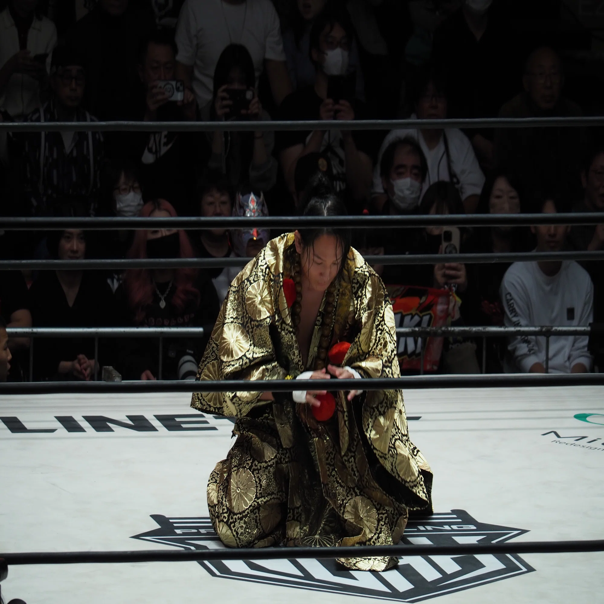 プロレス 好き 芸能人