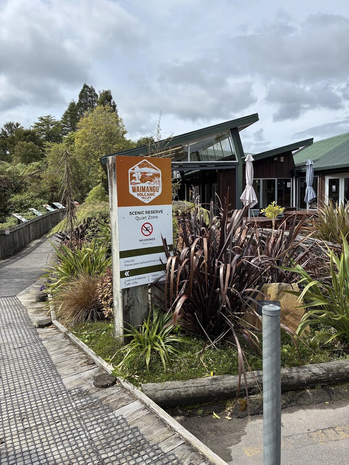 Bus Rotorua Spring in New Zealand Day 5: First Day in Rotorua|star_-_-