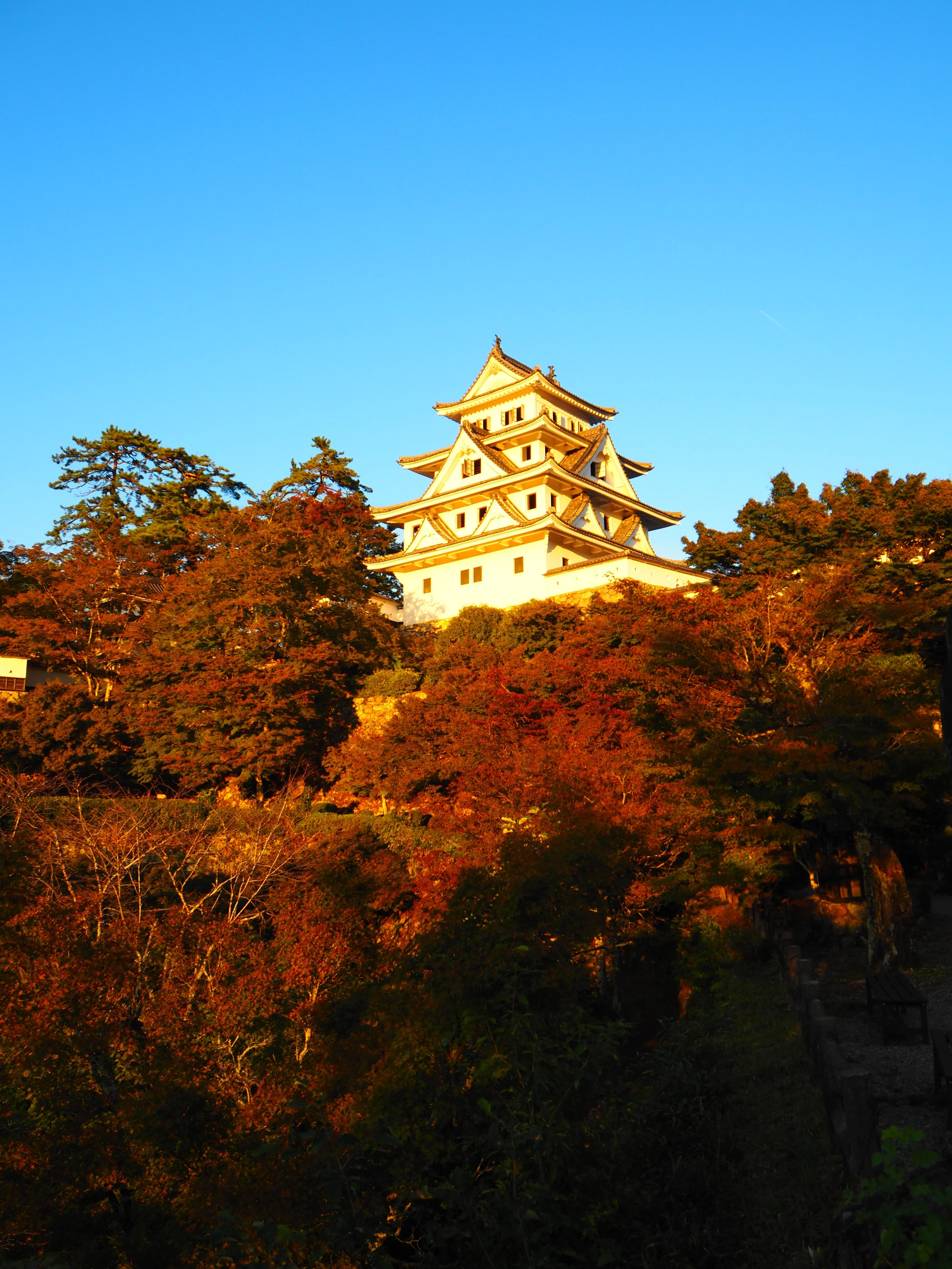 日本最古の木造再建城「郡上八幡城」へ｜すすむ
