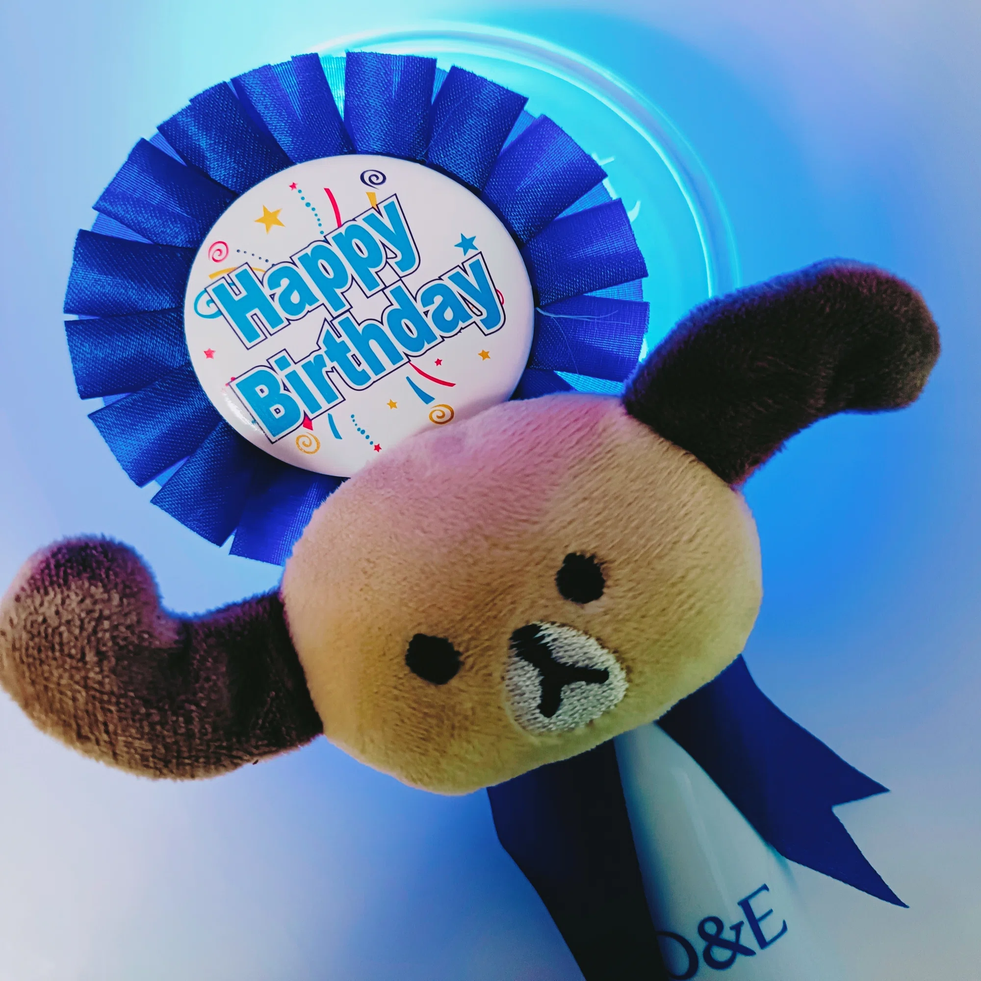 2025.11.8 SUPERJUNIOR ドンヘ Day of Happiness 생일イベント?＠大阪 