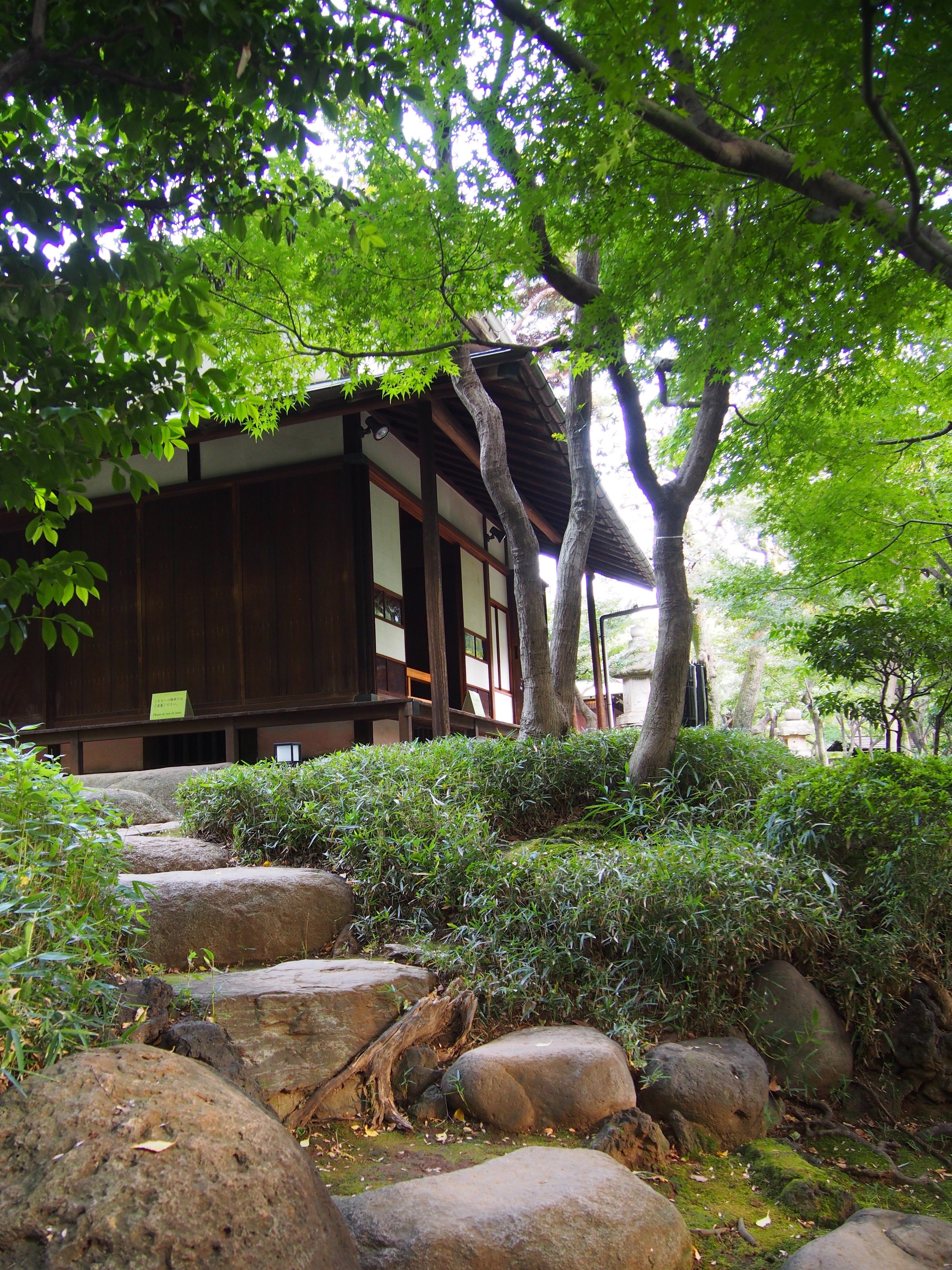 近代の豪邸。旧朝倉家住宅の美しい庭園。｜niwa_emon