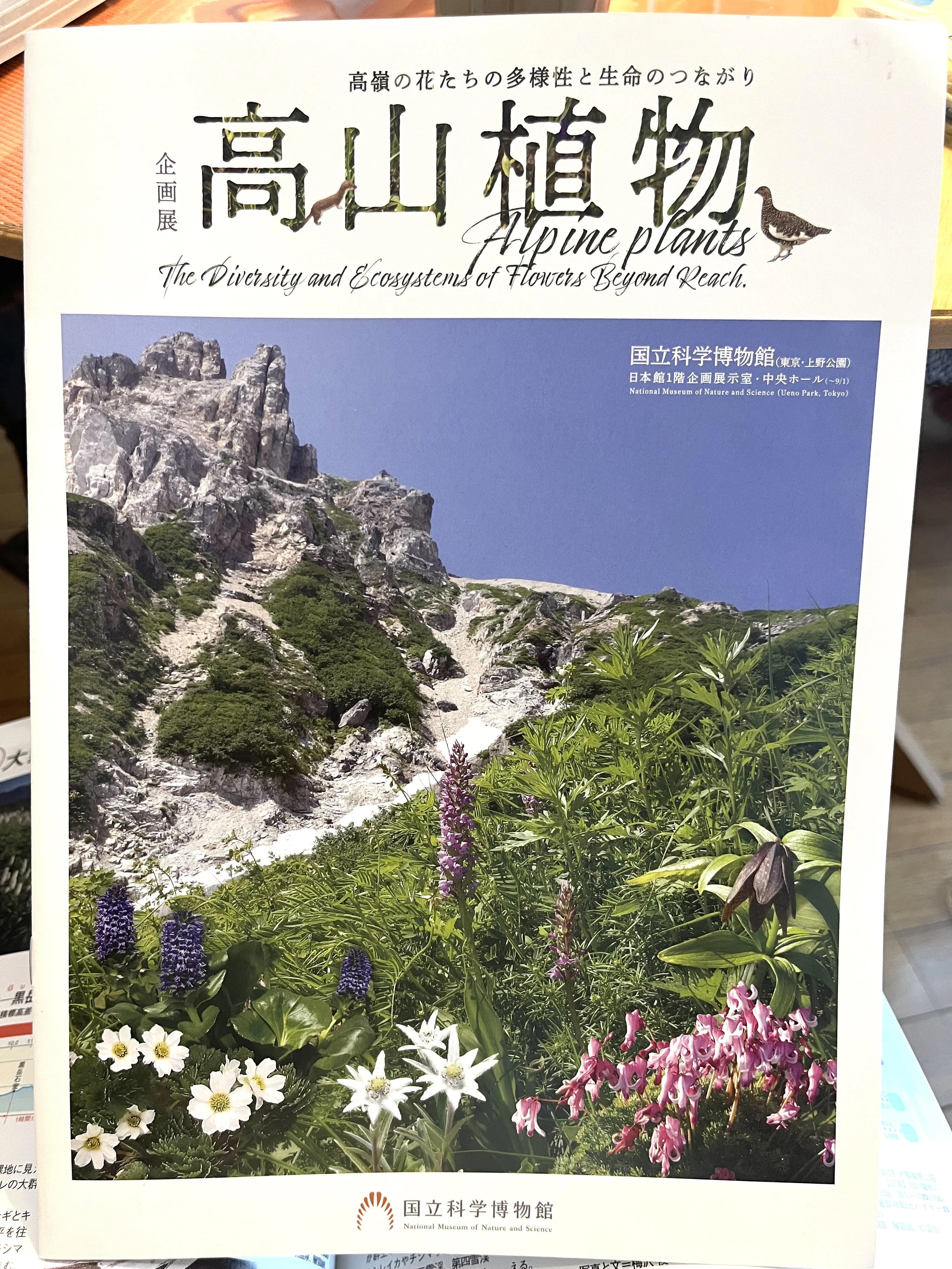 日本の高山植物はどこから来たのか？―DNAが明かす氷河時代からの植物