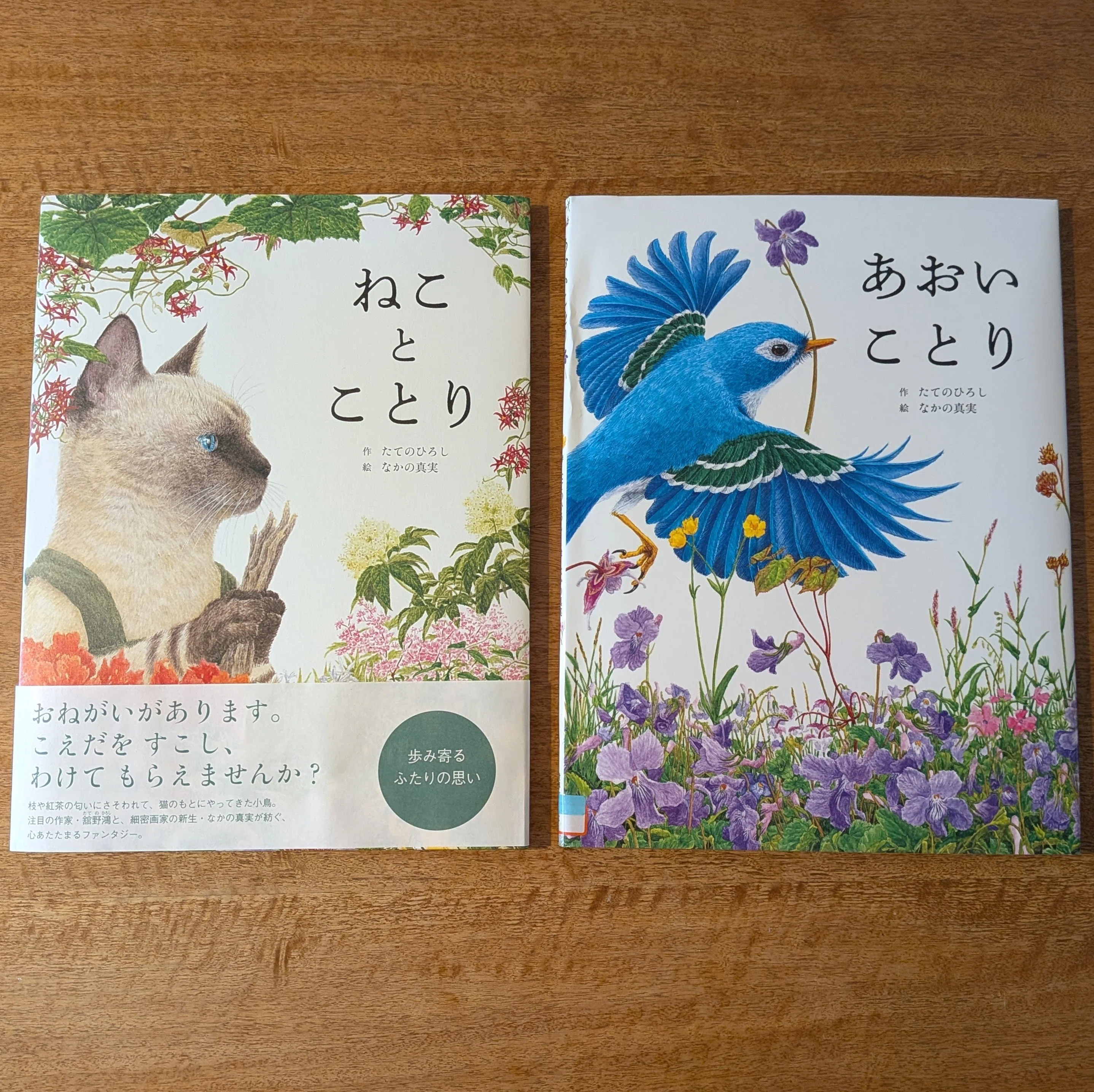 待望の新刊絵本『あおいことり』｜田中潤子