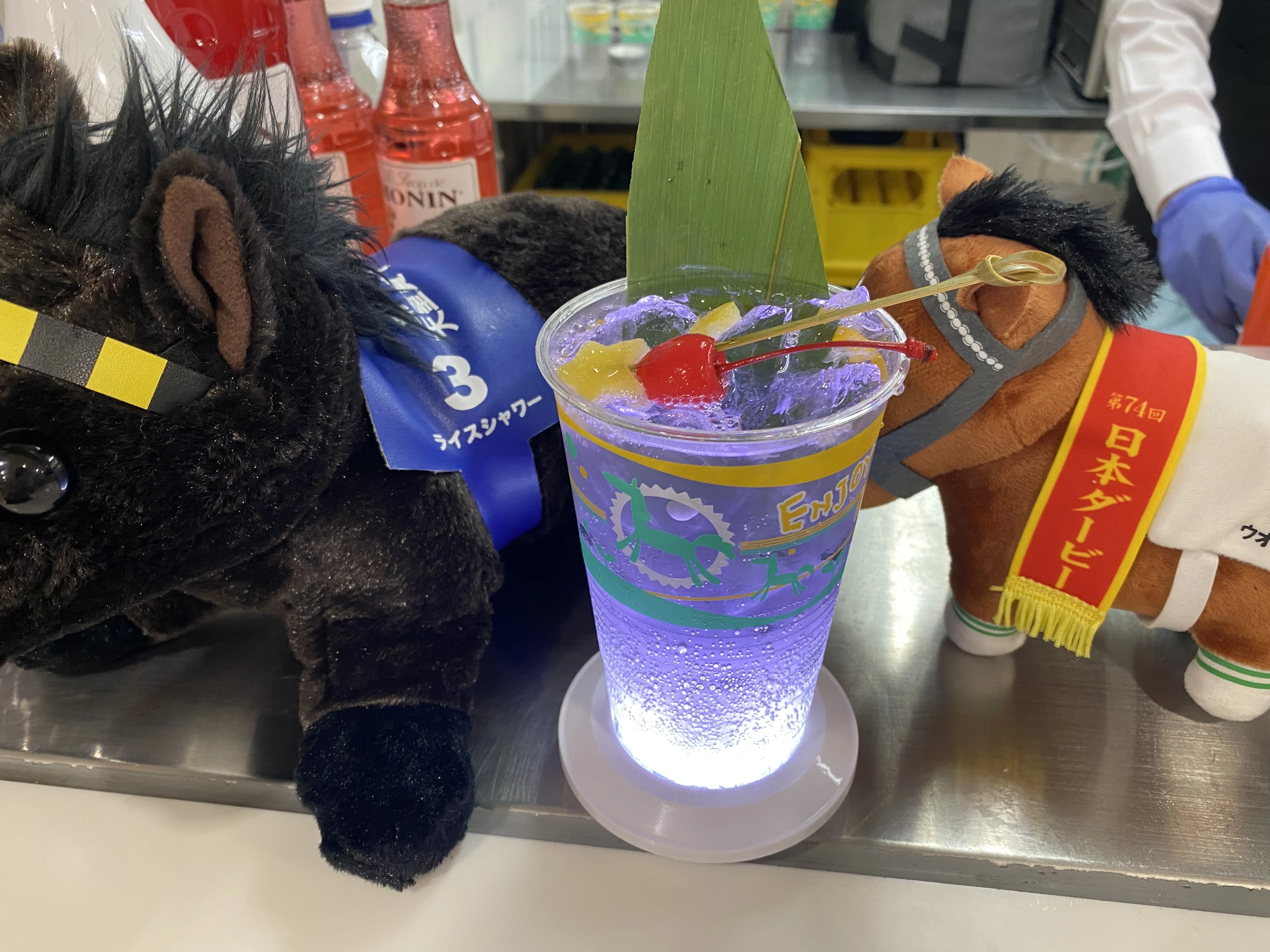 福島競馬場はいいぞ｜えり