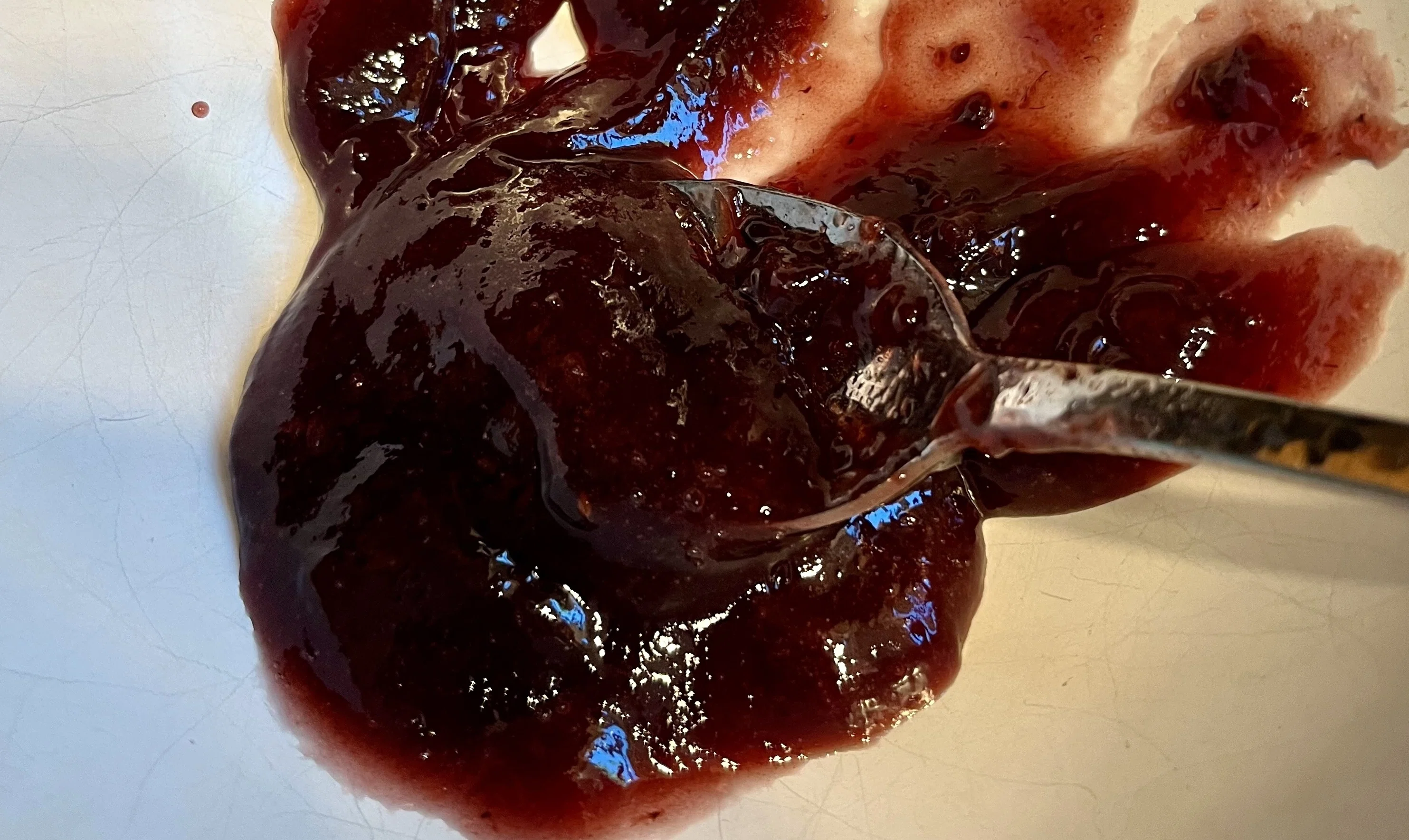 Blackberry Jam Full of Seeds｜21 Boys & 野鳥