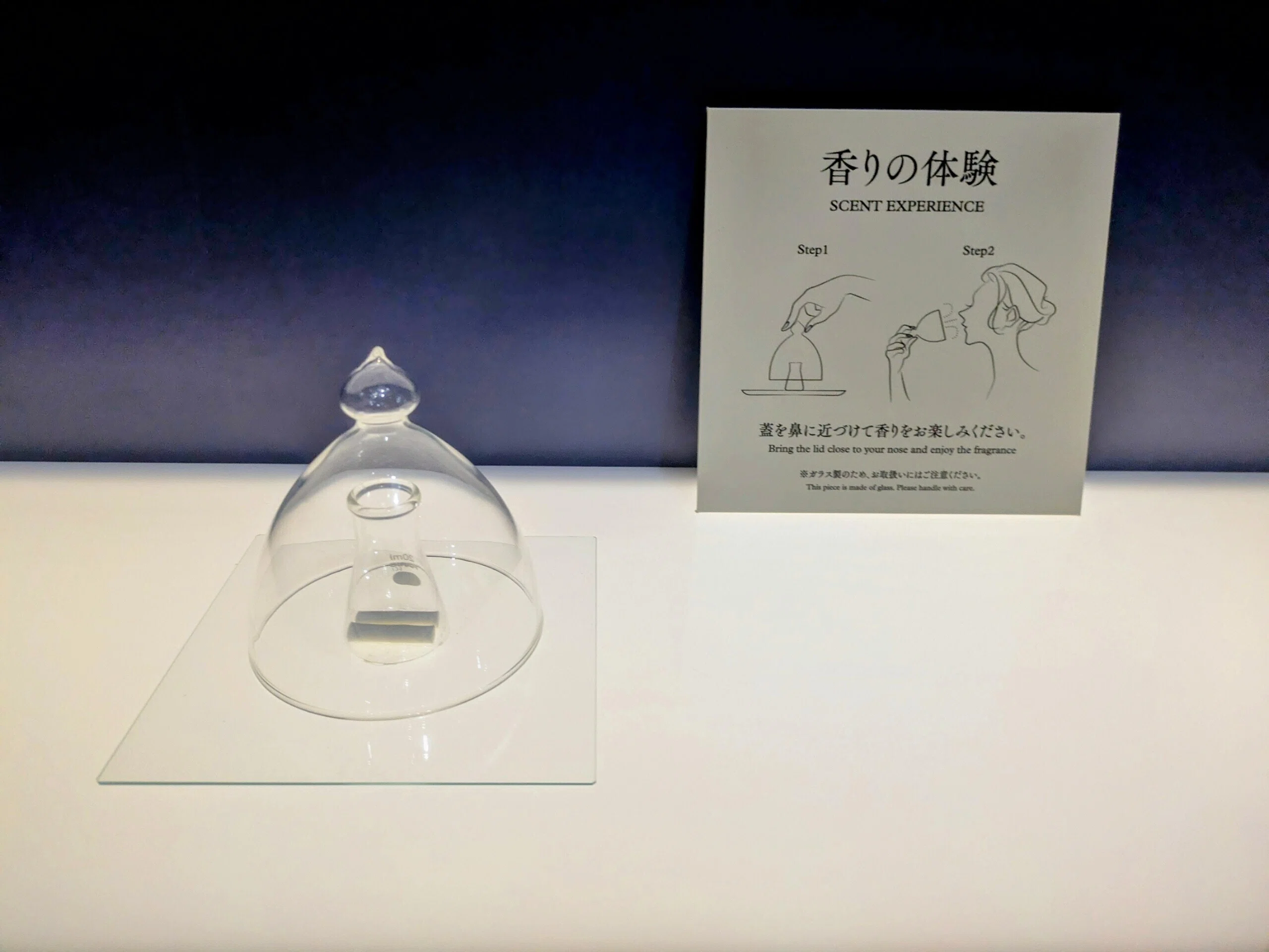 天平の香りが令和に舞った― 正倉院 THE SHOWで感じた “いま、ここに