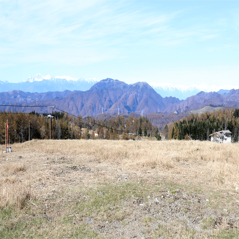 駒ヶ岳 3本　浅葱斑 1本 カット141．霧ヶ峰 忘れじの丘からの眺望 Part2｜sasayan