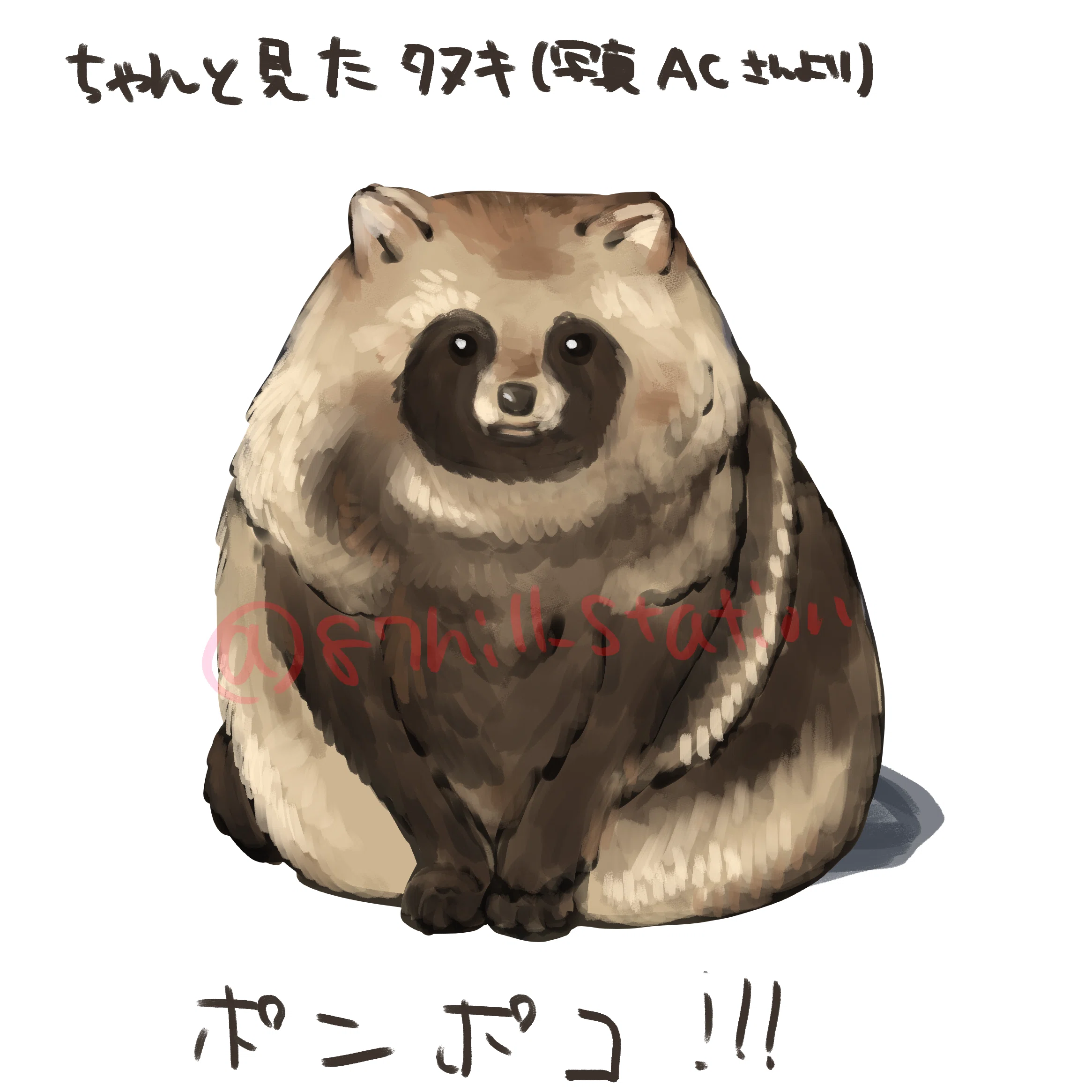 ポンポコたぬき様確認用 畳ふち色々 まとめて 見ないで描くと、見て描くの違いぽんぽこ｜お絵描き伊菜穂🌾 ご依頼