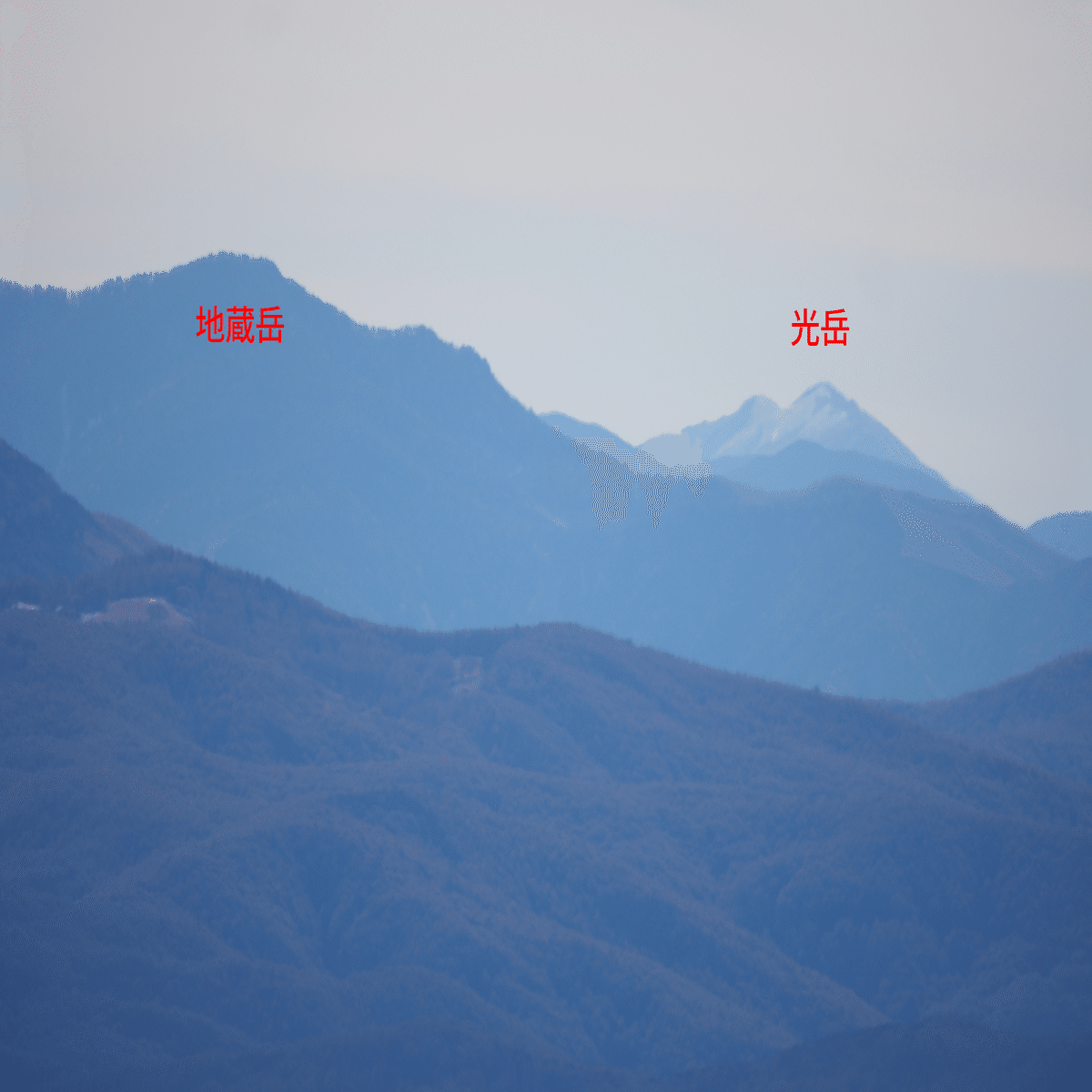 駒ヶ岳 3本　浅葱斑 1本 カット141．霧ヶ峰 忘れじの丘からの眺望 Part2｜sasayan