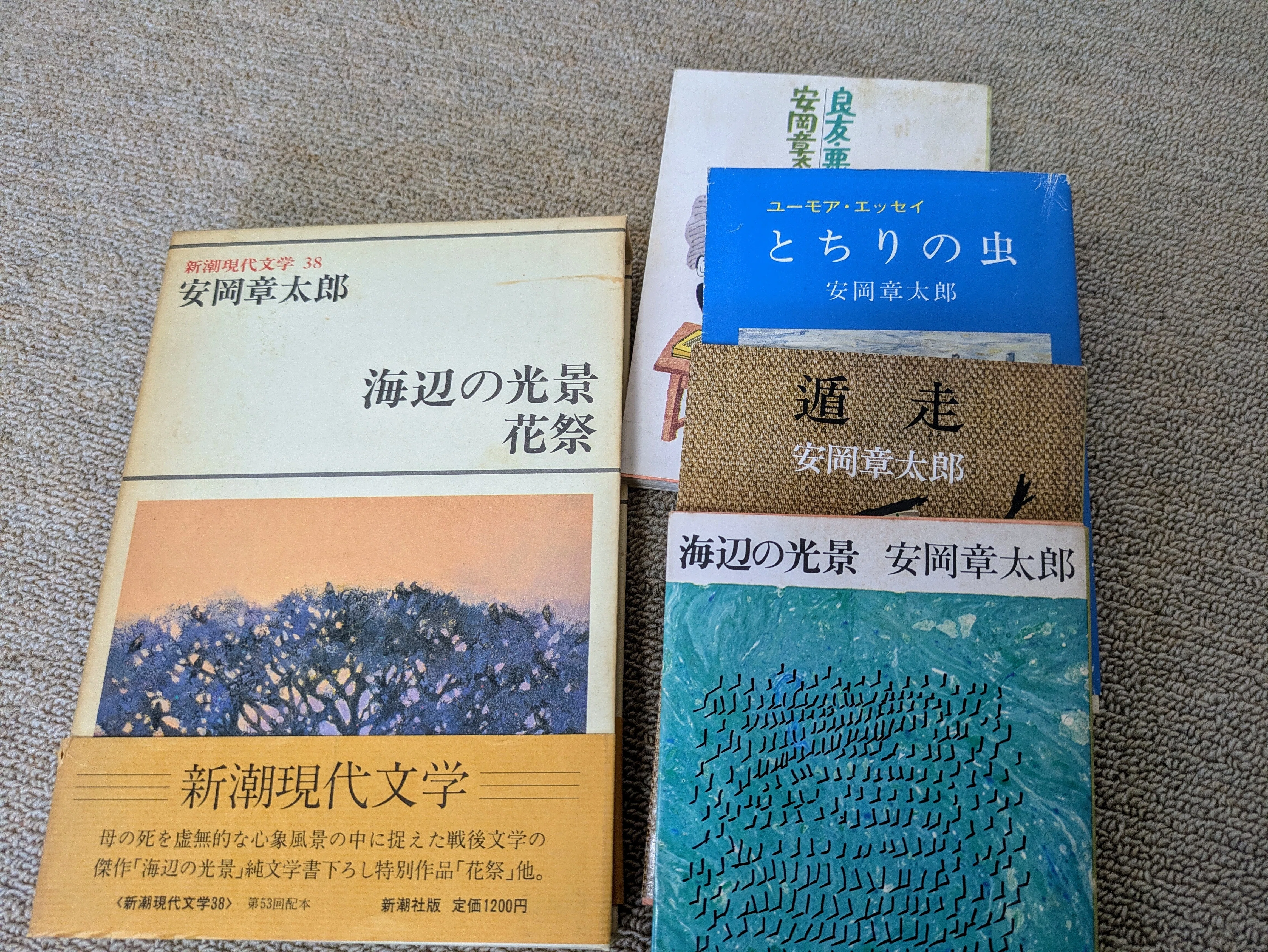 若い読者のための短編小説案内』 村上春樹｜老婆の日常茶飯事