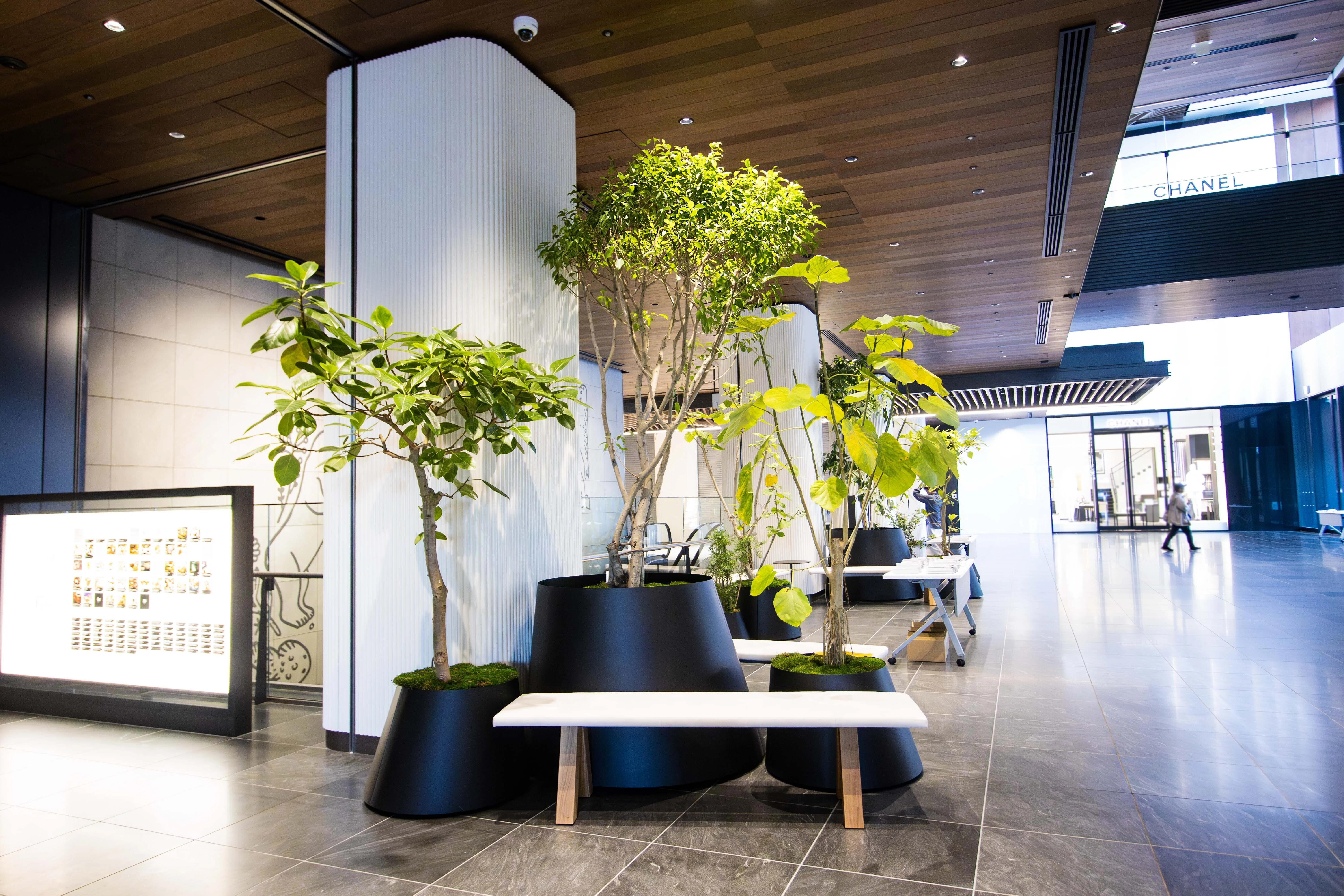 福岡・天神「ONE FUKUOKA BLDG.」の植栽デザイン｜都市とともに育つ