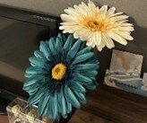 広報メンバーの2025年「＃買ってよかったもの」紹介！