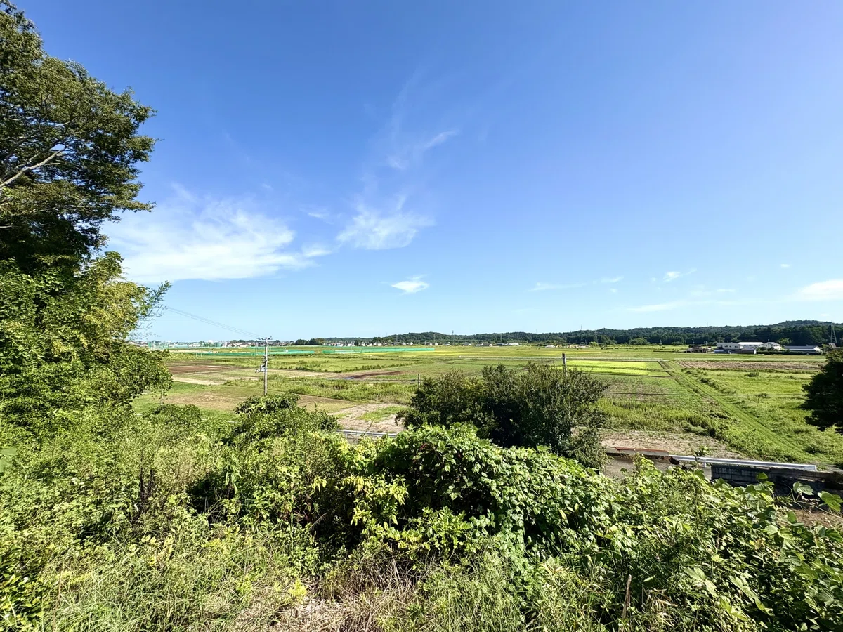 【研究活動2025】仮設からはじまる商業の再開ー福島県浪江町からー|国際都市計画研究室