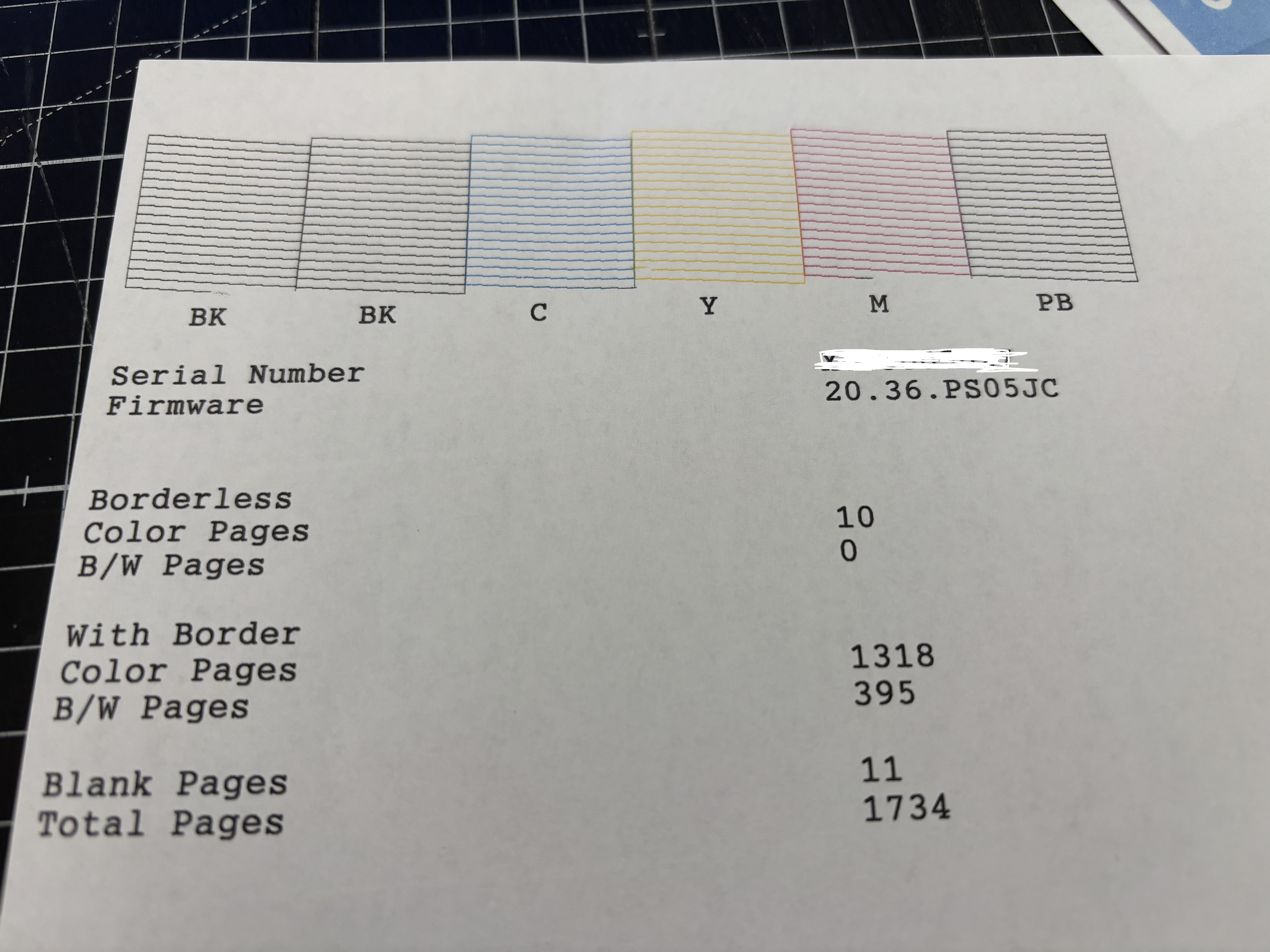 印刷物に線が入る #目標に向かう記録313｜琴里(ことり)