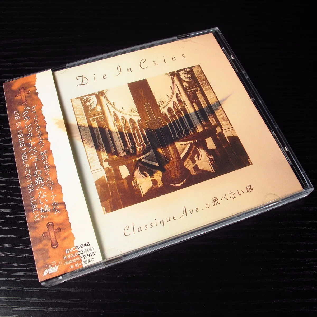 DIE IN CRIESが好きだった【好きだったバンドを語る】｜daisukefromhell