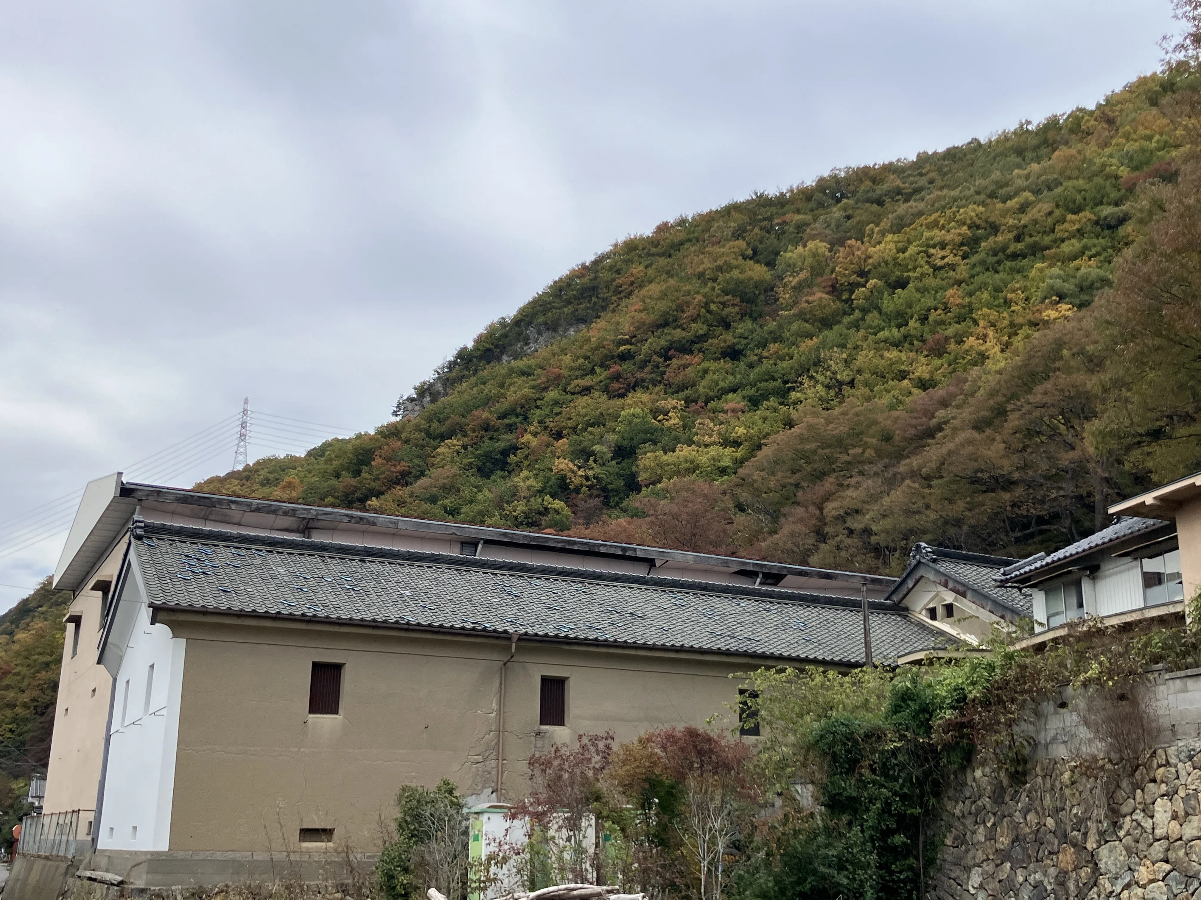 信州の酒蔵を巡る〜上田編（2）｜みどり
