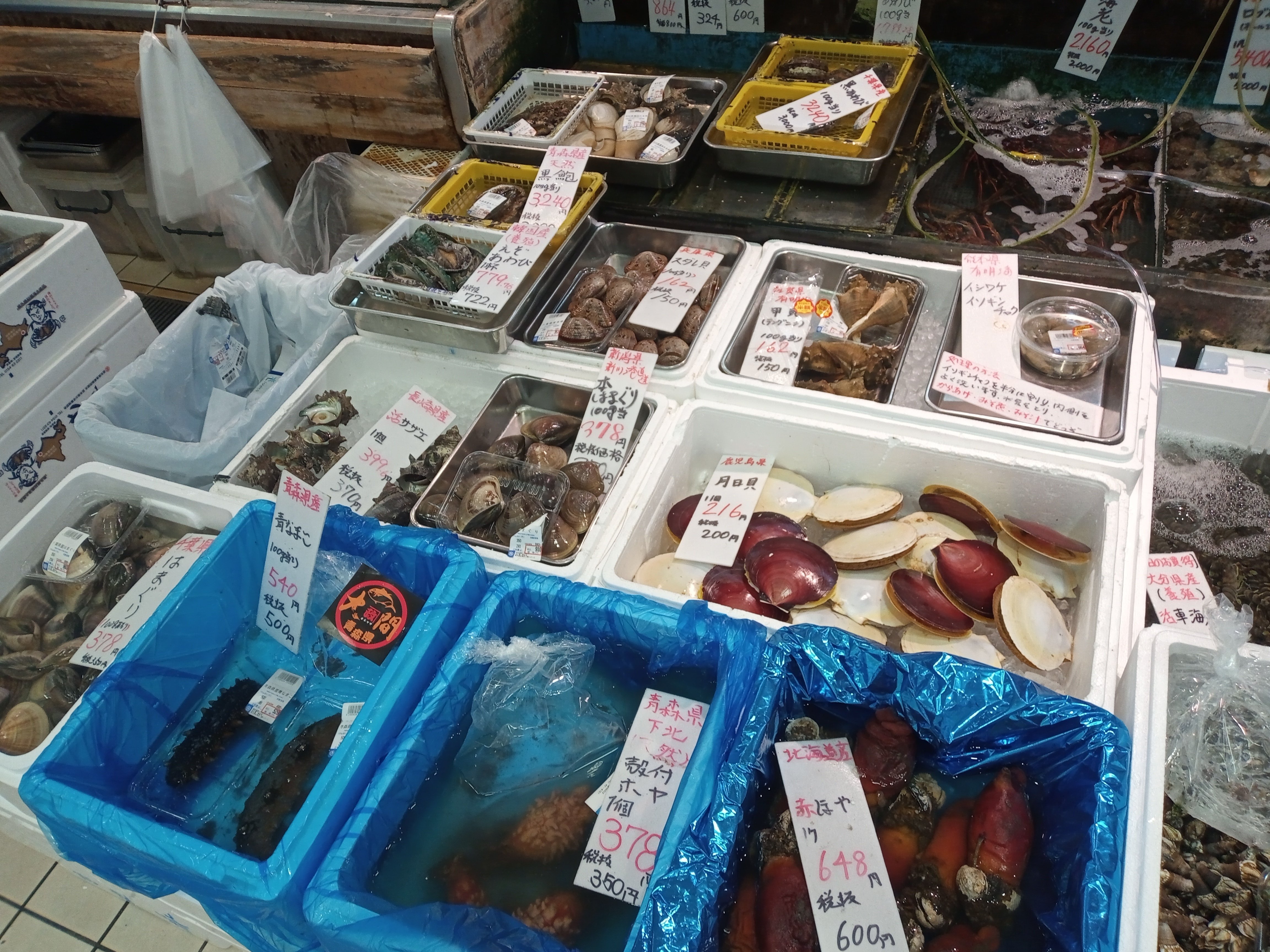 速報】ついに見つけた！持ち込んだ魚を捌いてくれる居酒屋@東京上野