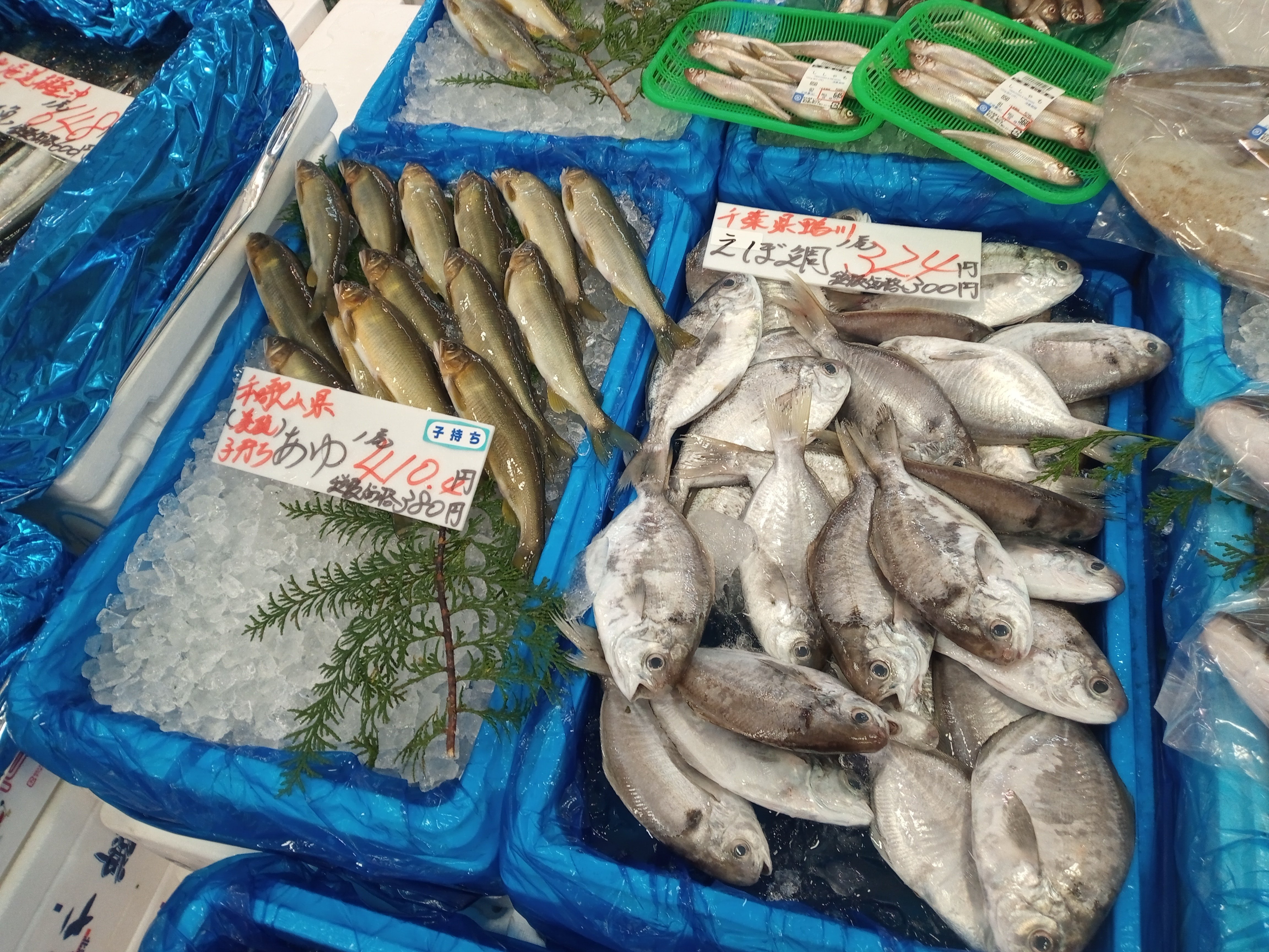 速報】ついに見つけた！持ち込んだ魚を捌いてくれる居酒屋@東京上野