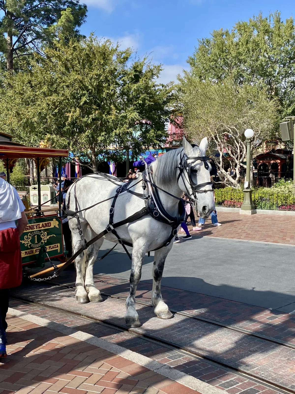 ディズニーランド・リゾート観光・1日目（前半） 〜7年ぶり2度目 