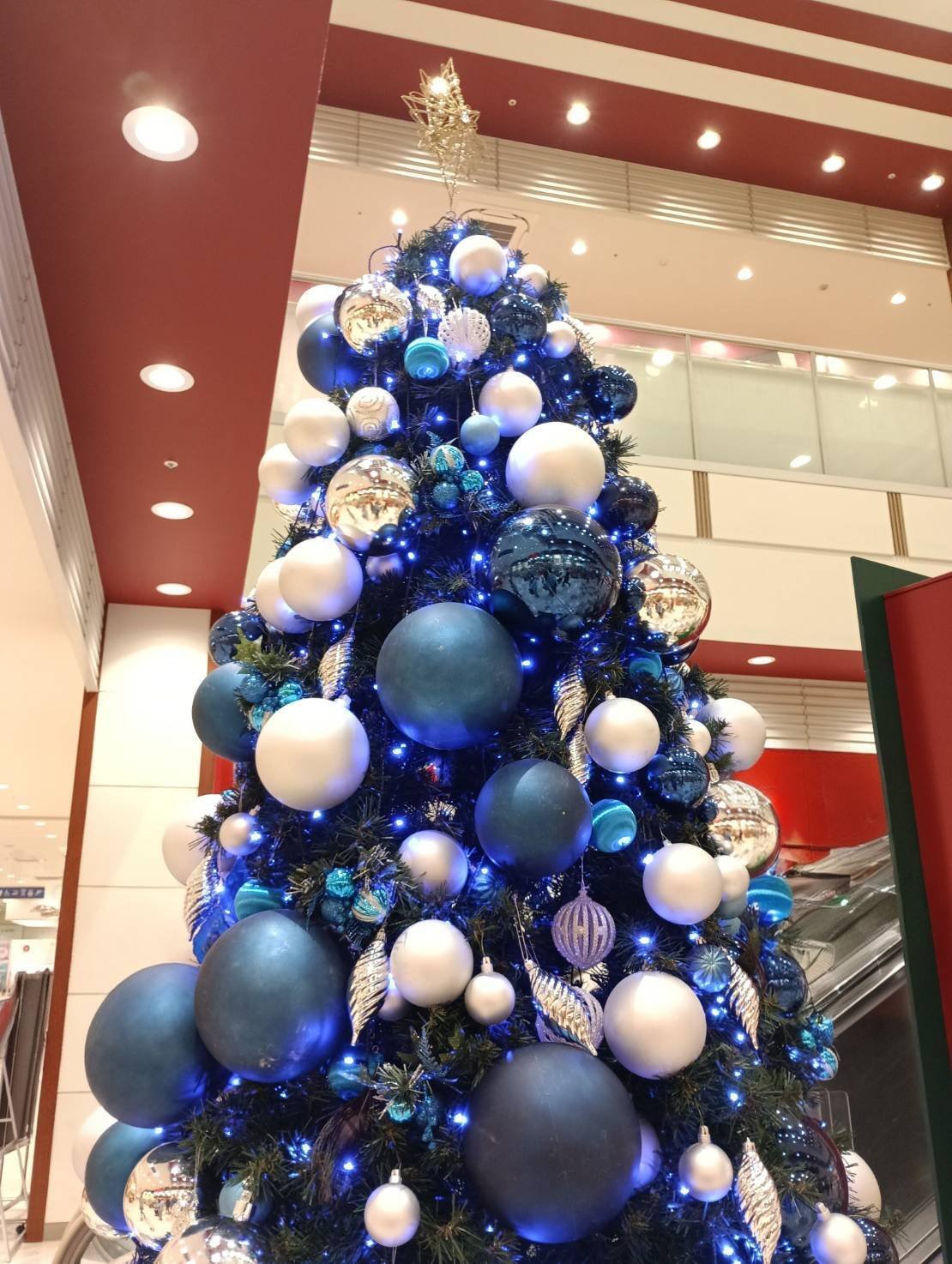 2.クリスマスツリー Hogewoning(ホーゲヴォーニング) ポーランド製 高級 クリスマスツリー