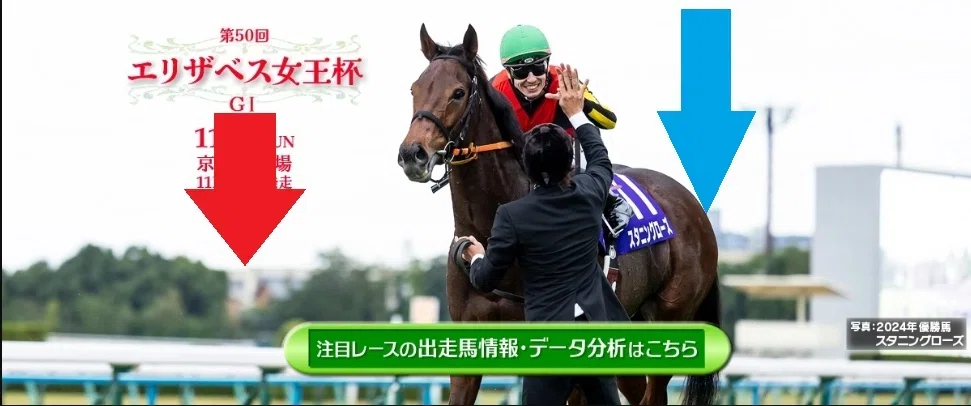 マリアライト エリザベス女王杯 現地的中単勝馬券 - ファイン
