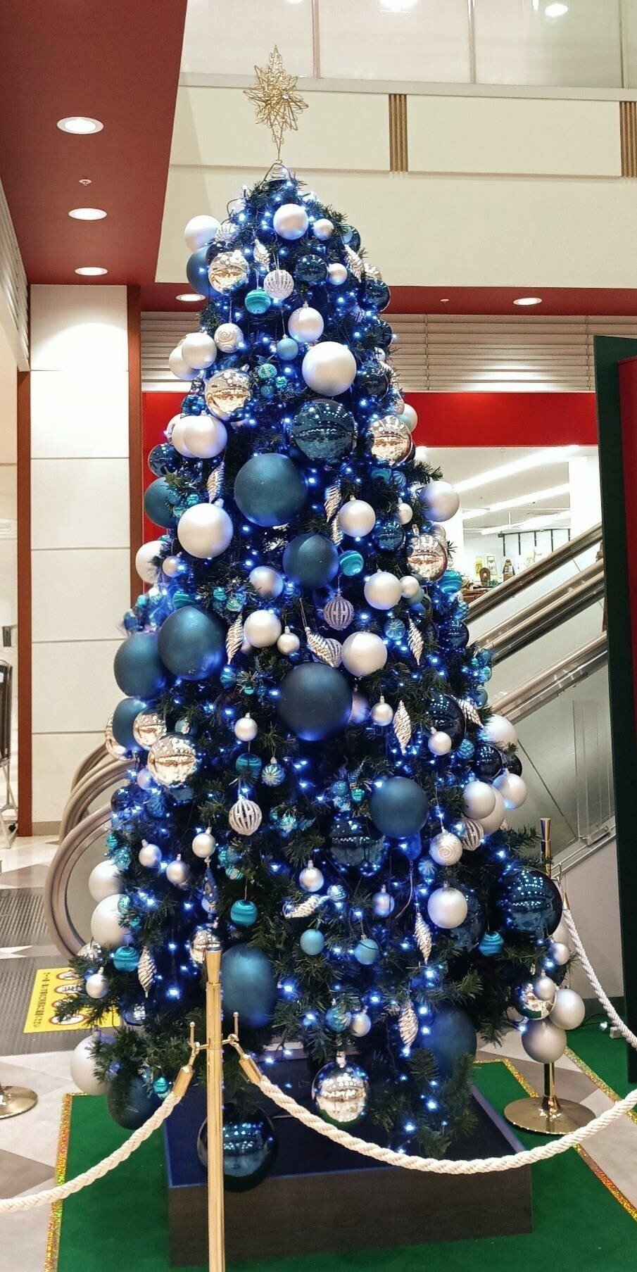 クリスマスツリー②🎄｜山田