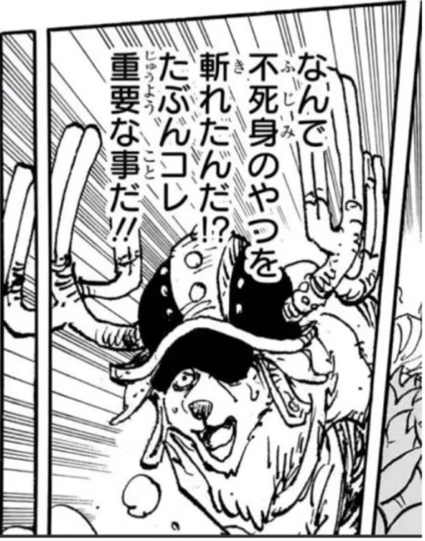 ワンピース新世界構文｜カラコロ。