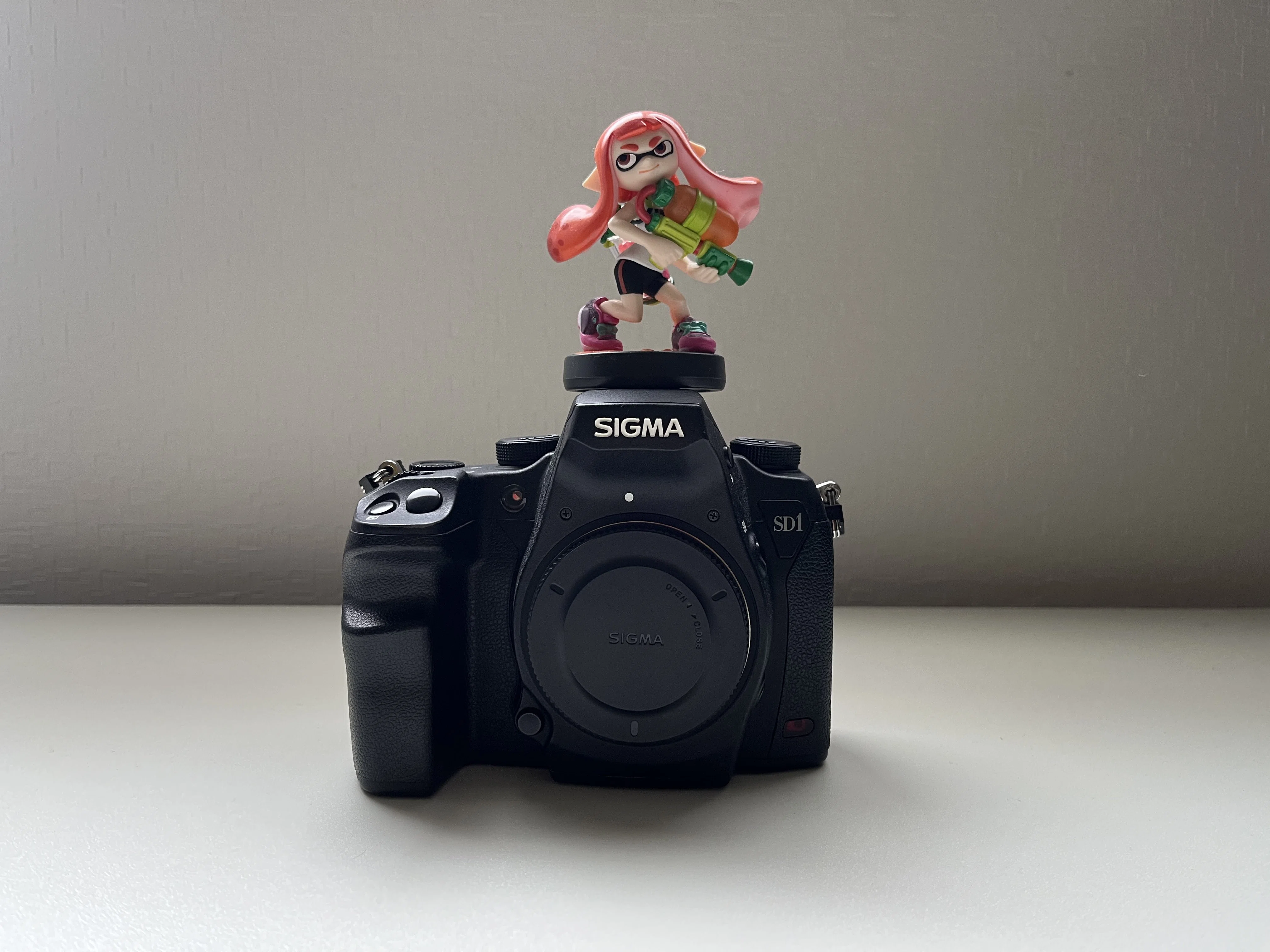 2年。SD1 Merrill｜Inaaka